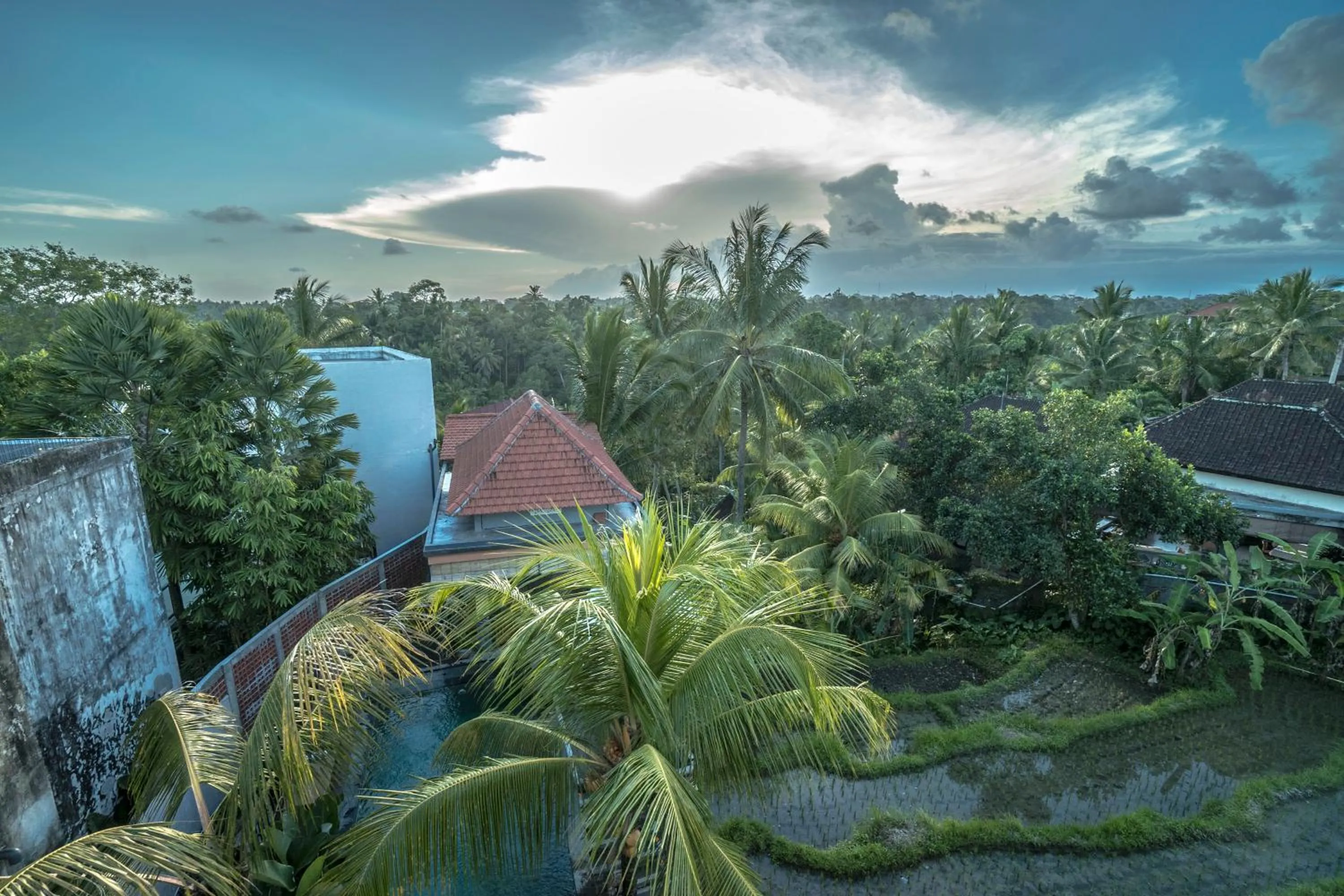 Natural landscape in Adi Bisma Inn by Mahaputra-CHSE Certified