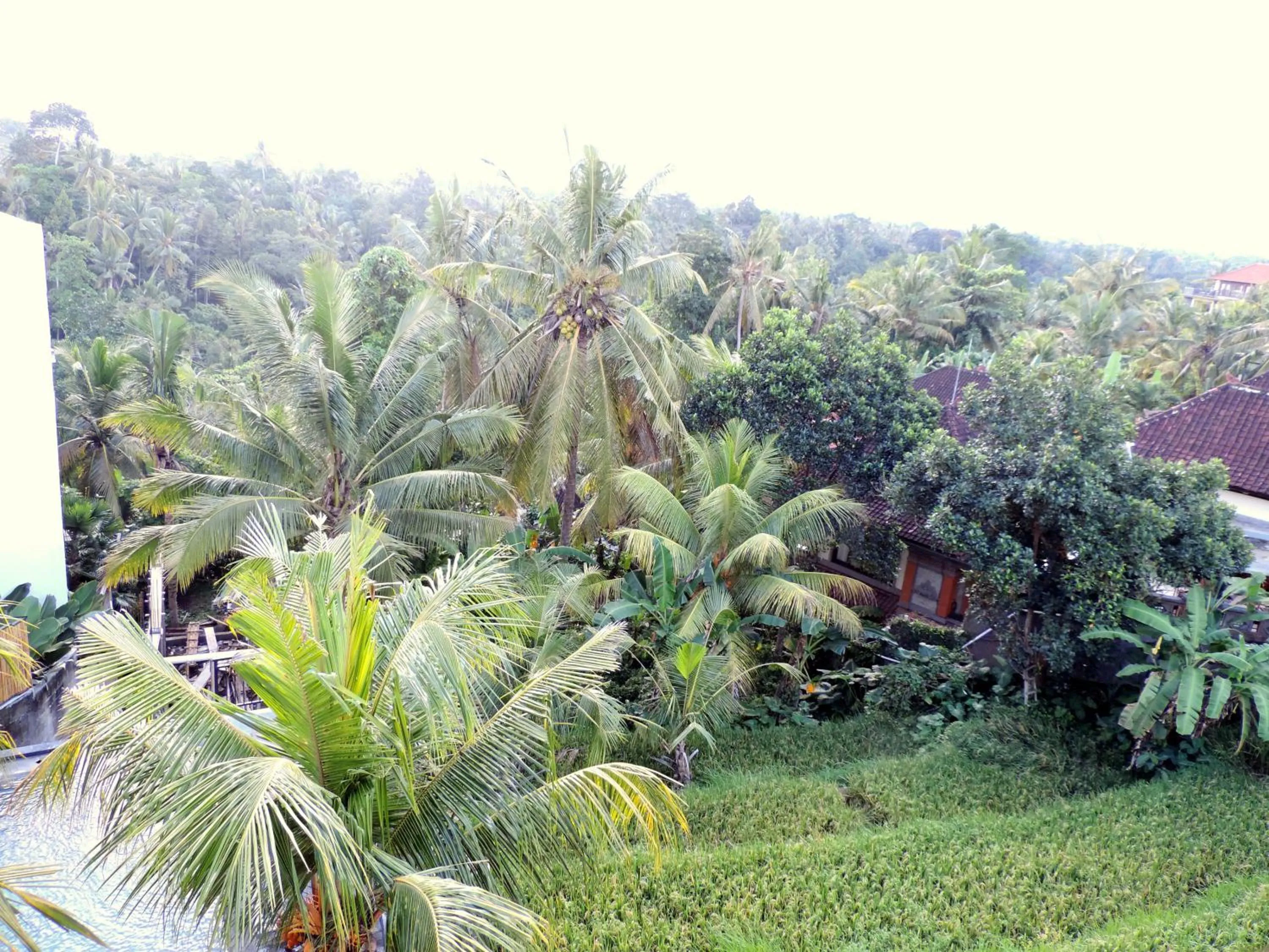 Mountain view in Adi Bisma Inn by Mahaputra-CHSE Certified