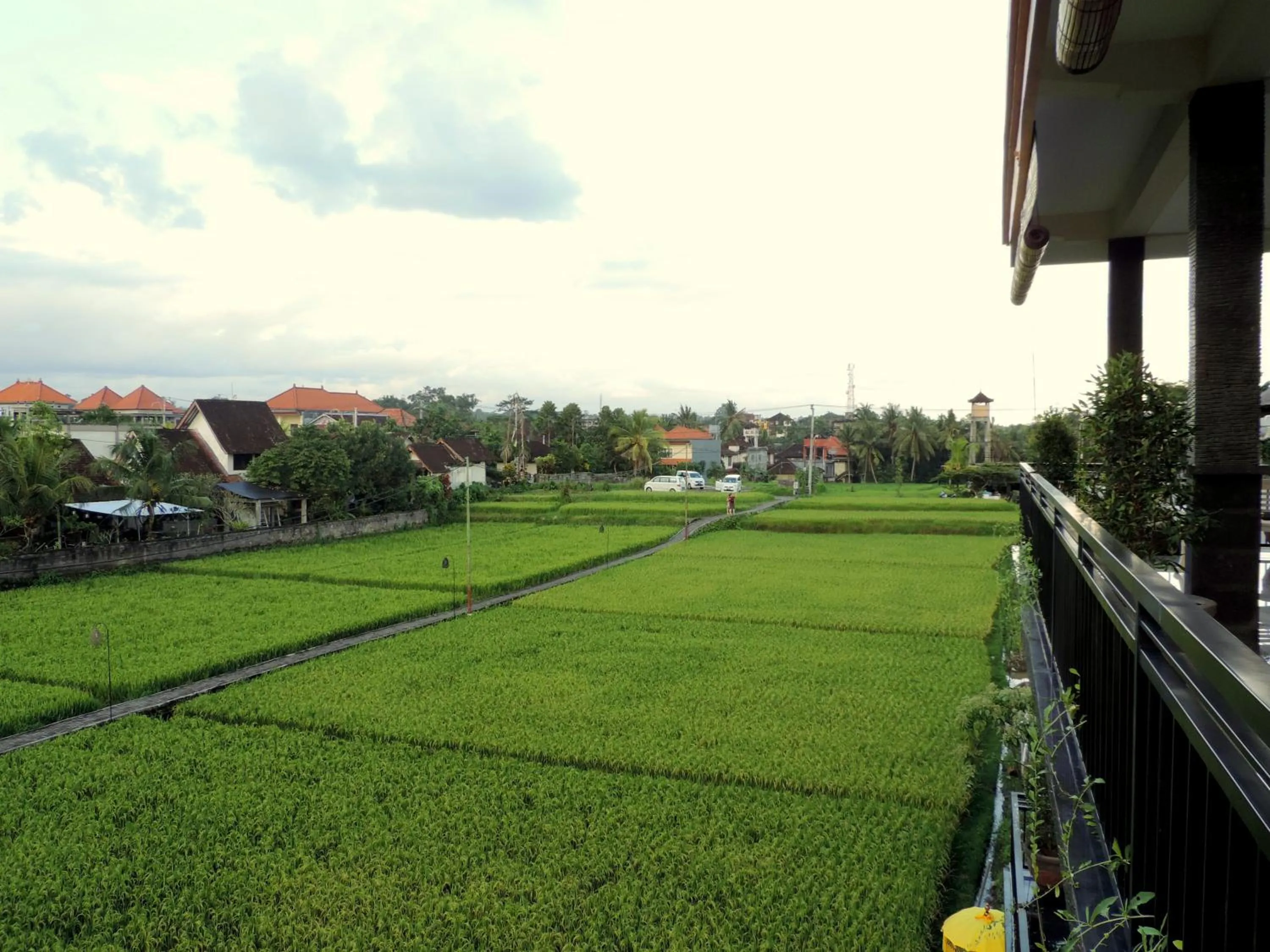 View (from property/room) in Adi Bisma Inn by Mahaputra-CHSE Certified