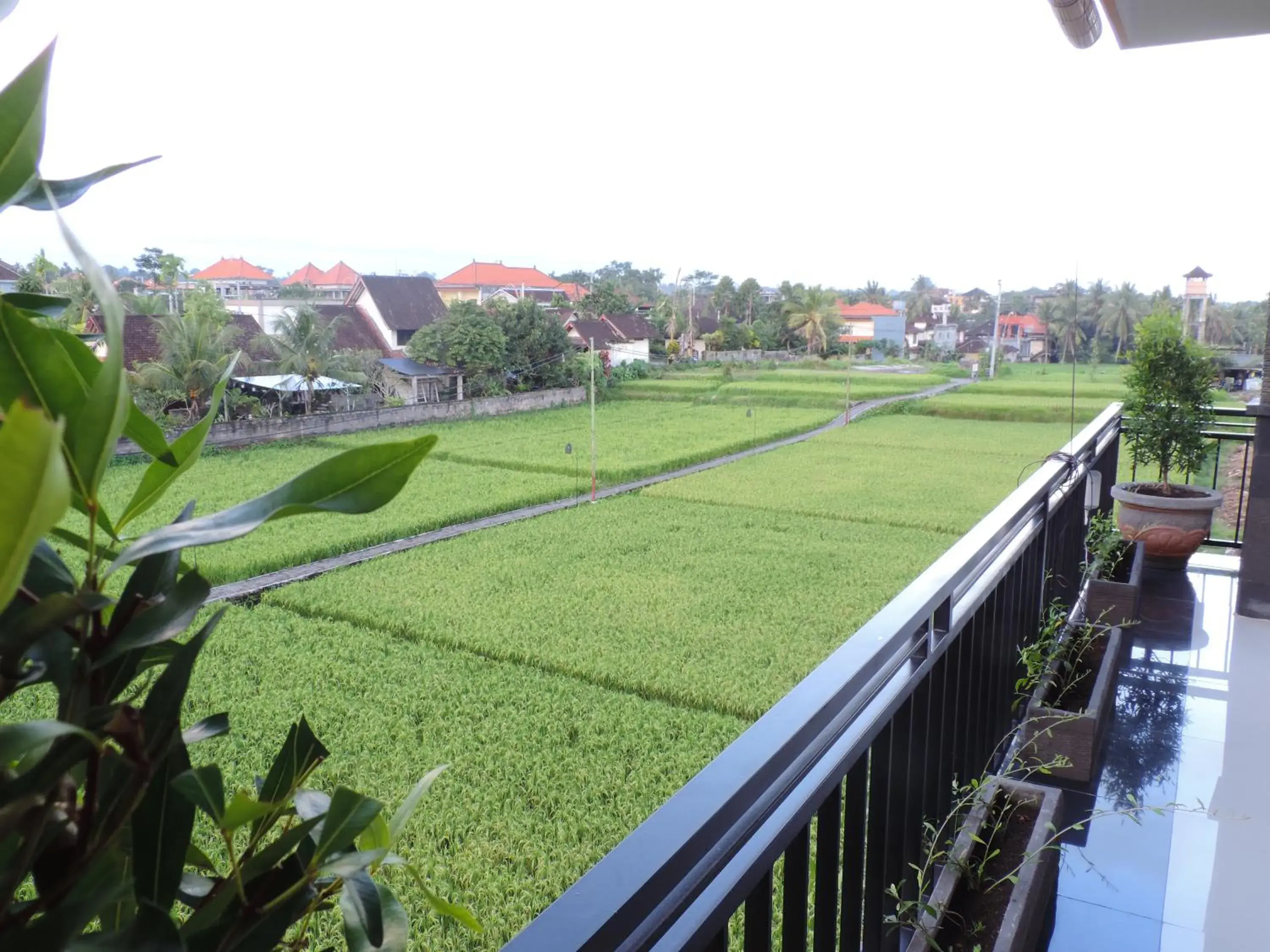 Garden view in Adi Bisma Inn by Mahaputra-CHSE Certified Garden view in Adi Bisma Inn by Mahaputra-CHSE Certified