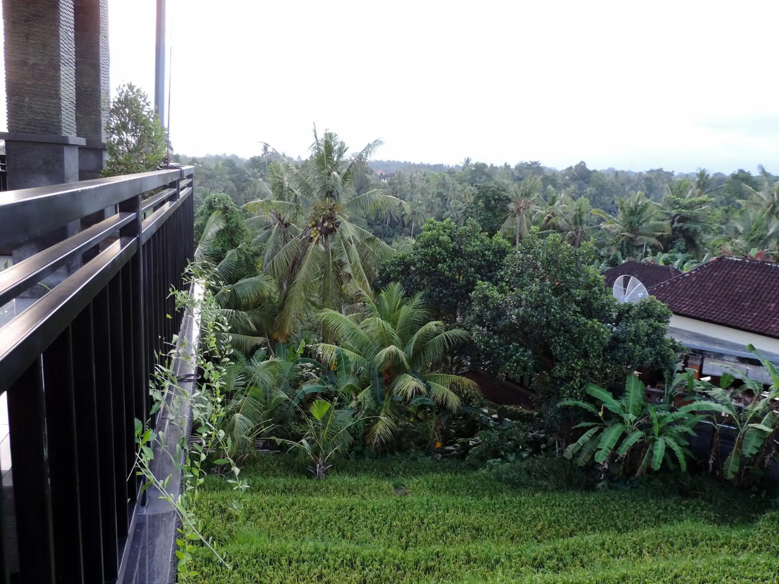 Mountain view in Adi Bisma Inn by Mahaputra-CHSE Certified Mountain view in Adi Bisma Inn by Mahaputra-CHSE Certified