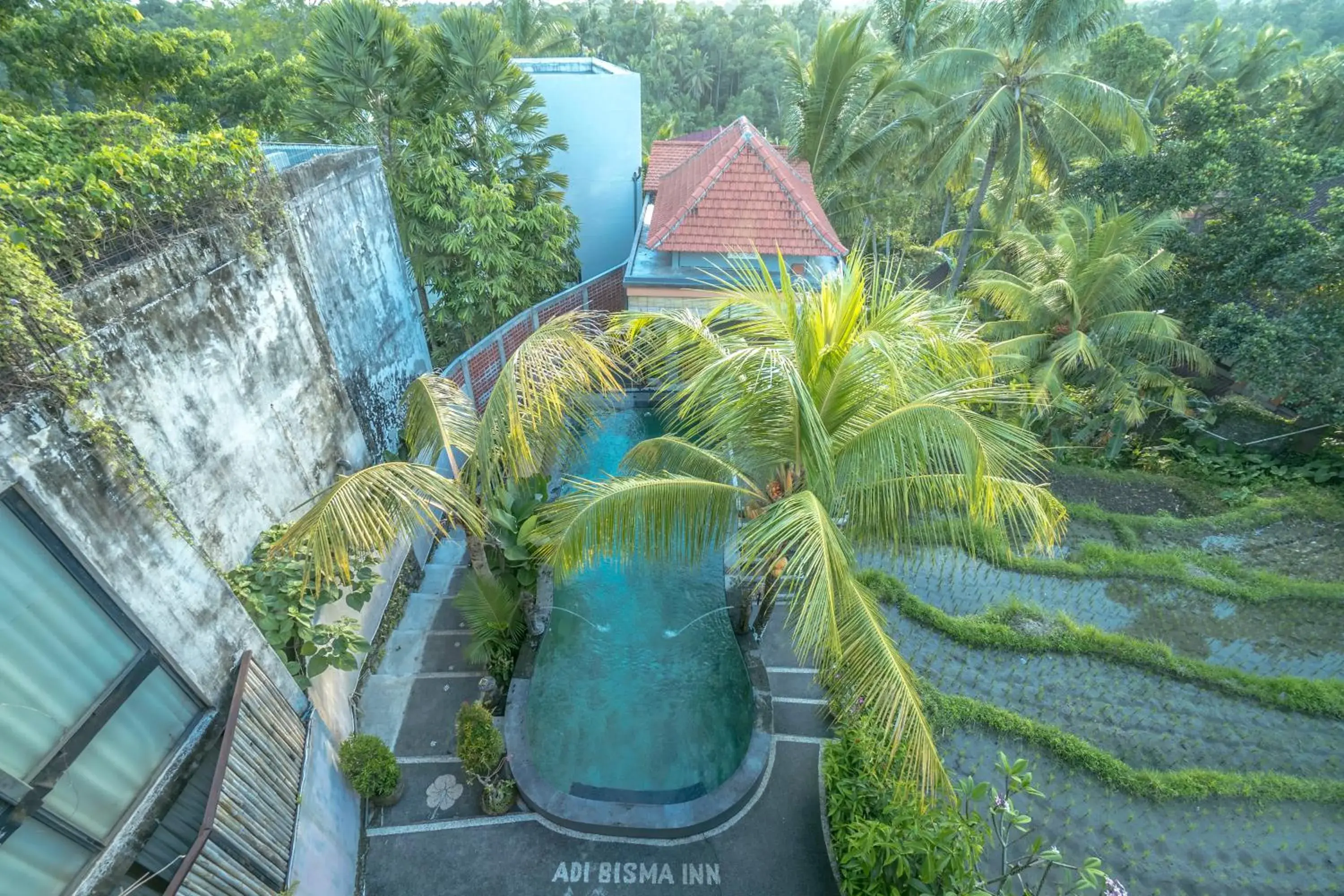 Pool view in Adi Bisma Inn by Mahaputra-CHSE Certified Pool view in Adi Bisma Inn by Mahaputra-CHSE Certified