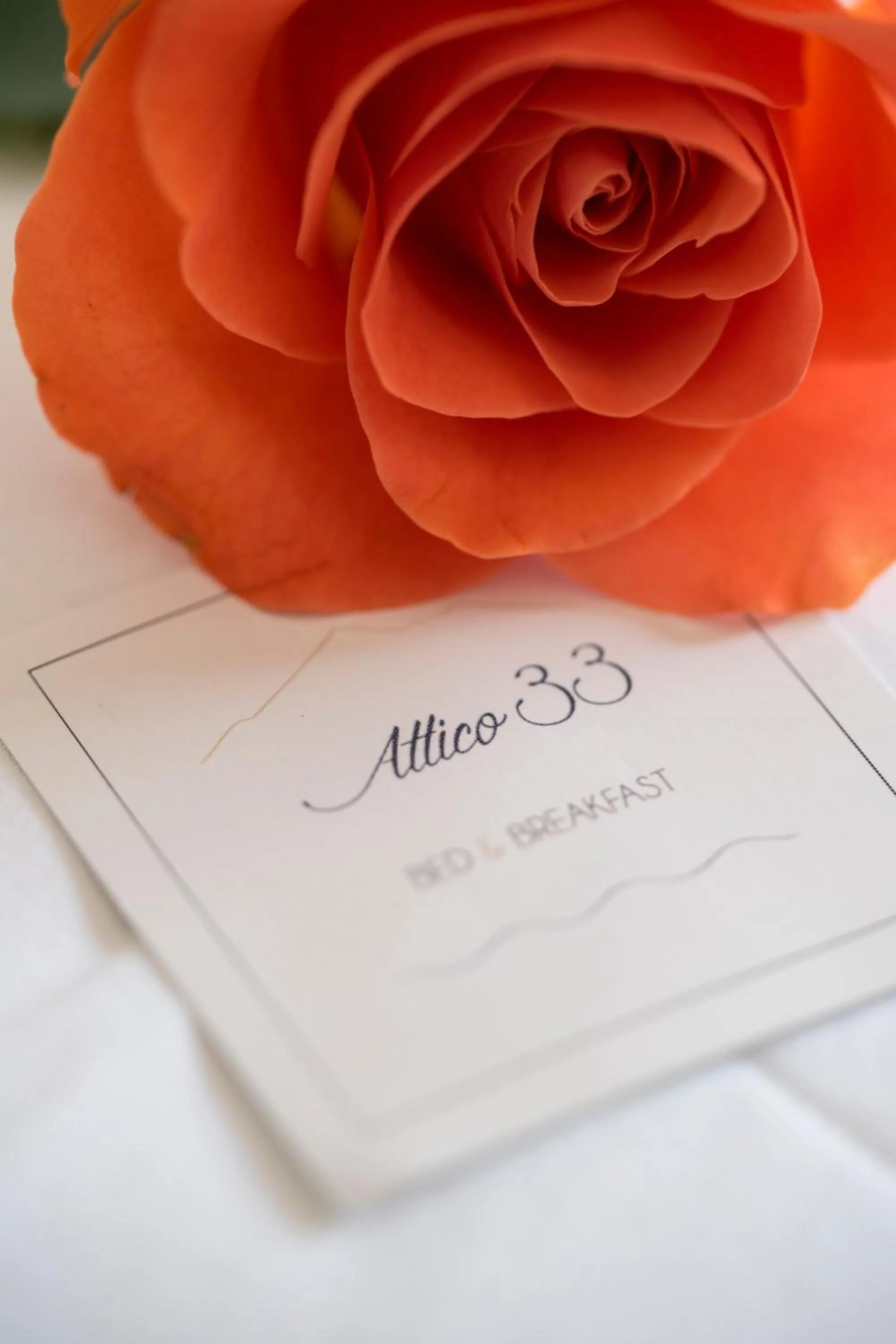 Property logo or sign in B&B Attico 33
