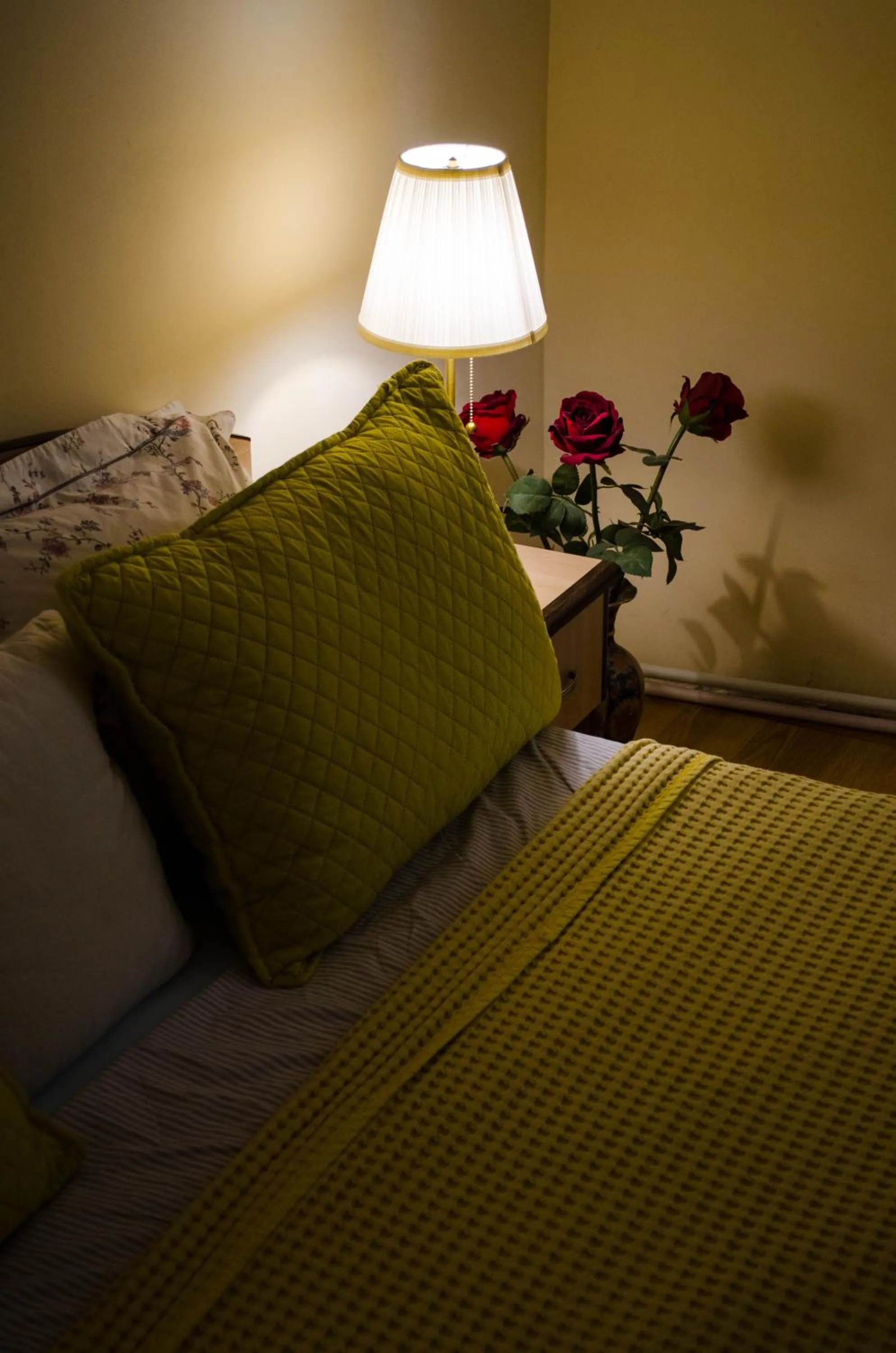 Collosal Apartment with Garden