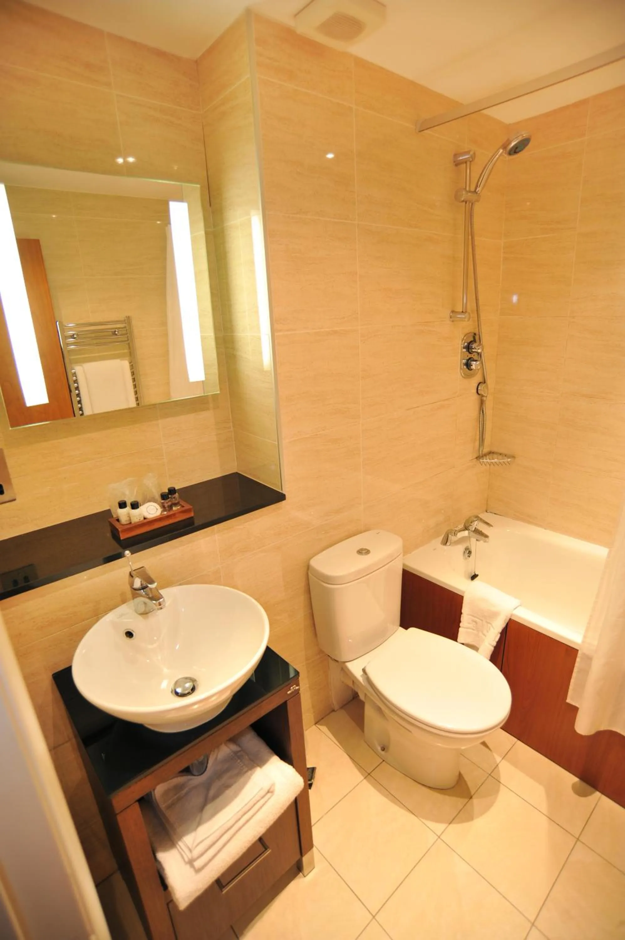 Bathroom in Golden Lion Hotel