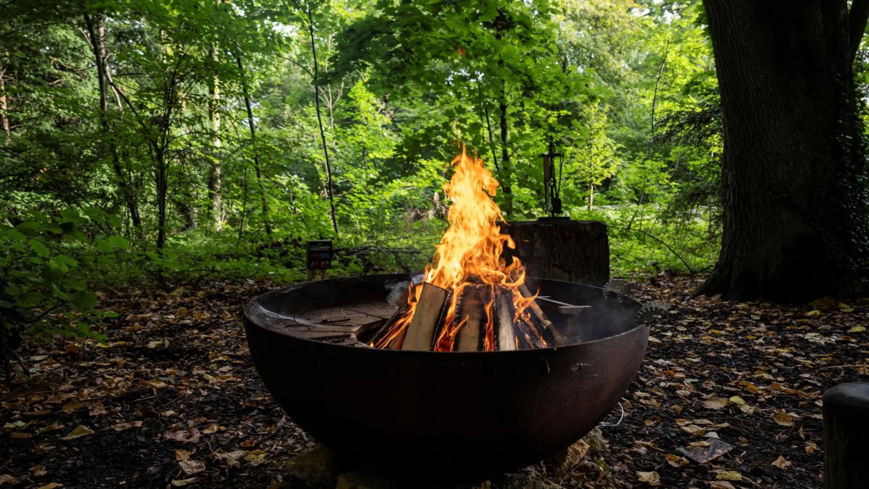 BBQ facilities in Centre Loewenberg