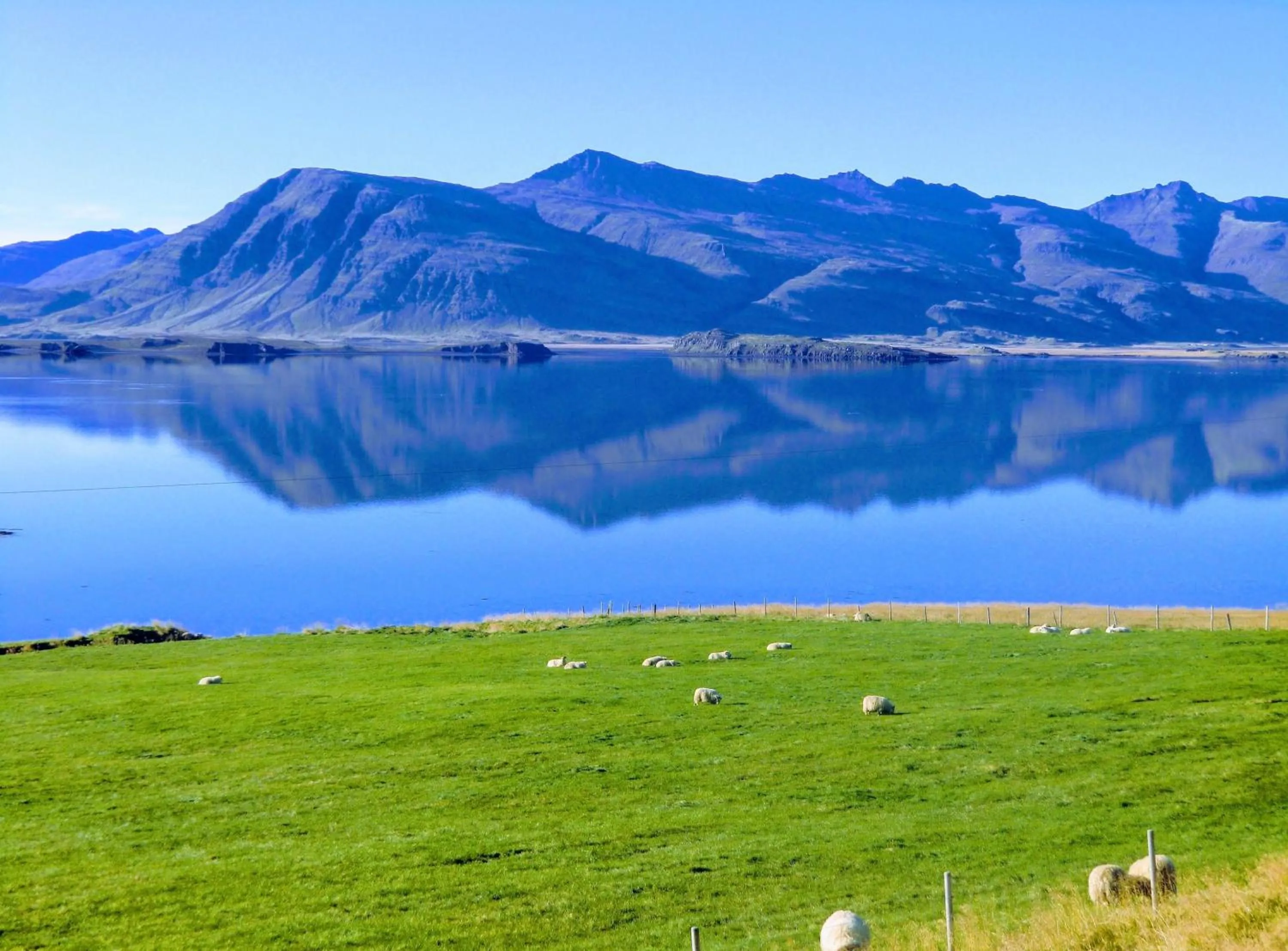 Krákhamar Apartments