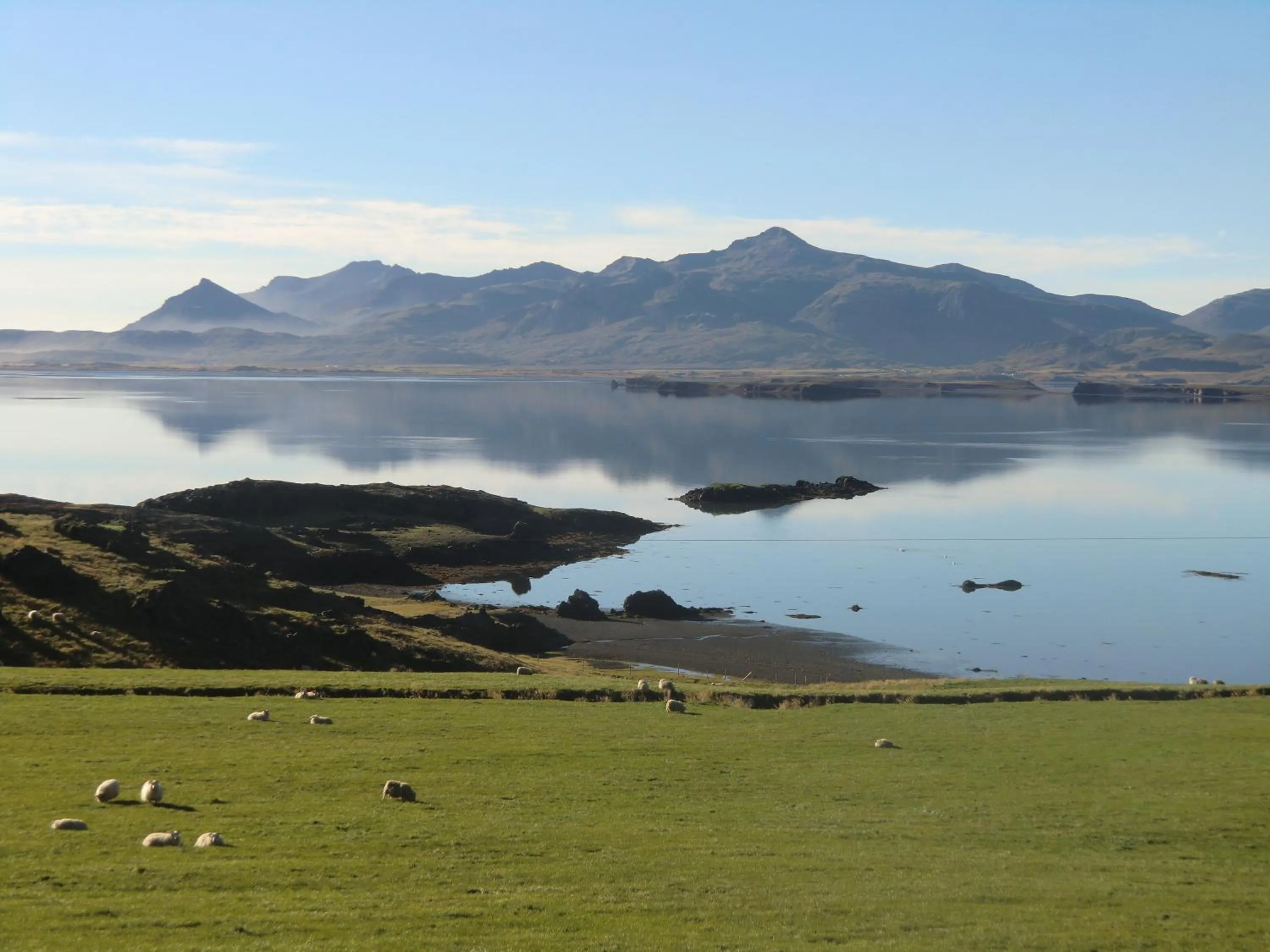 Animals in Krákhamar Apartments