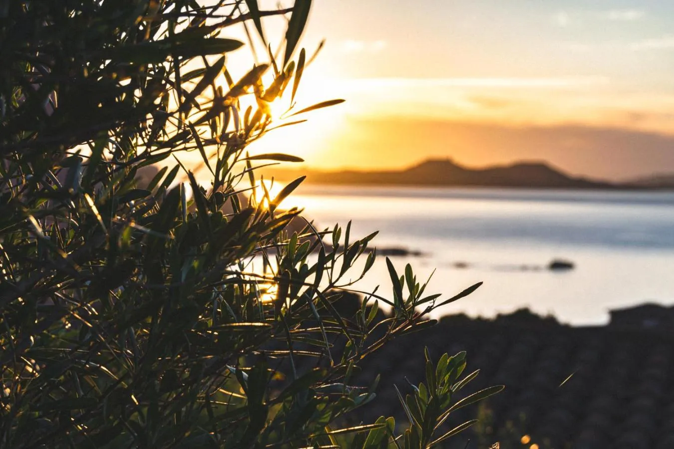 Natural landscape in Residence I Cormorani Bis