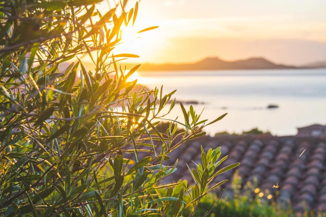 Sunset in Residence I Cormorani Bis