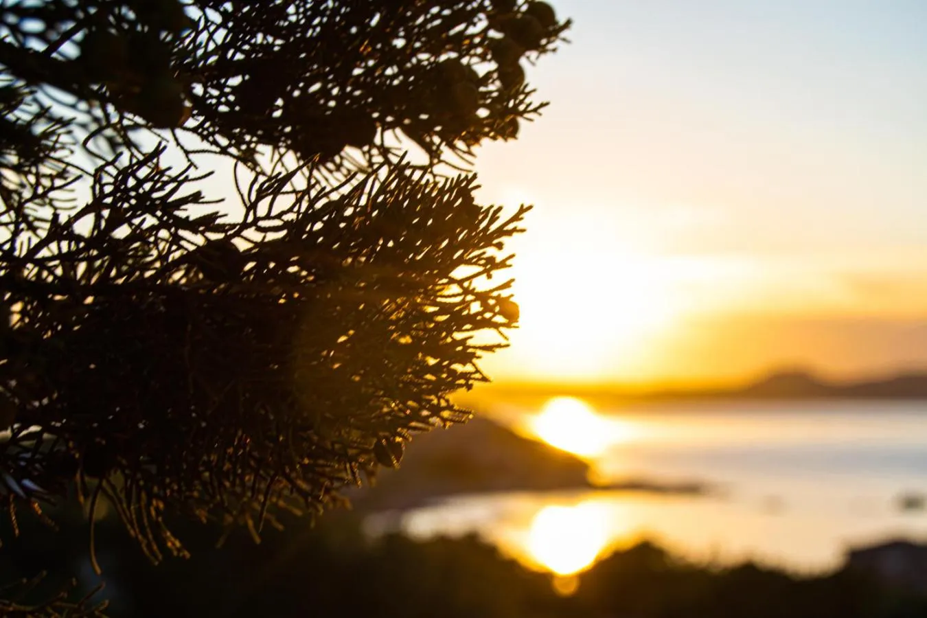 Natural landscape in Residence I Cormorani Bis