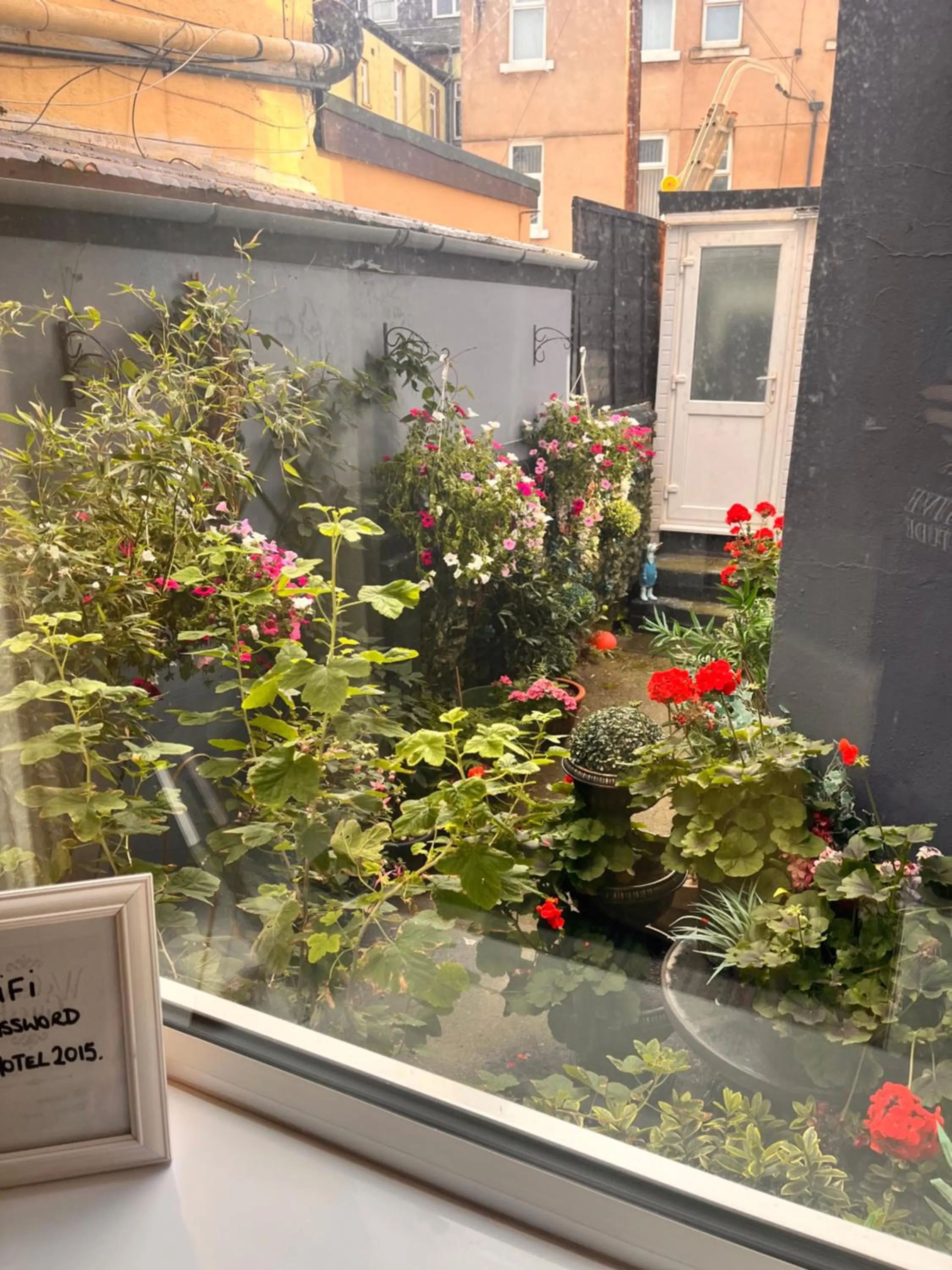 Garden view in The Oxfordshire