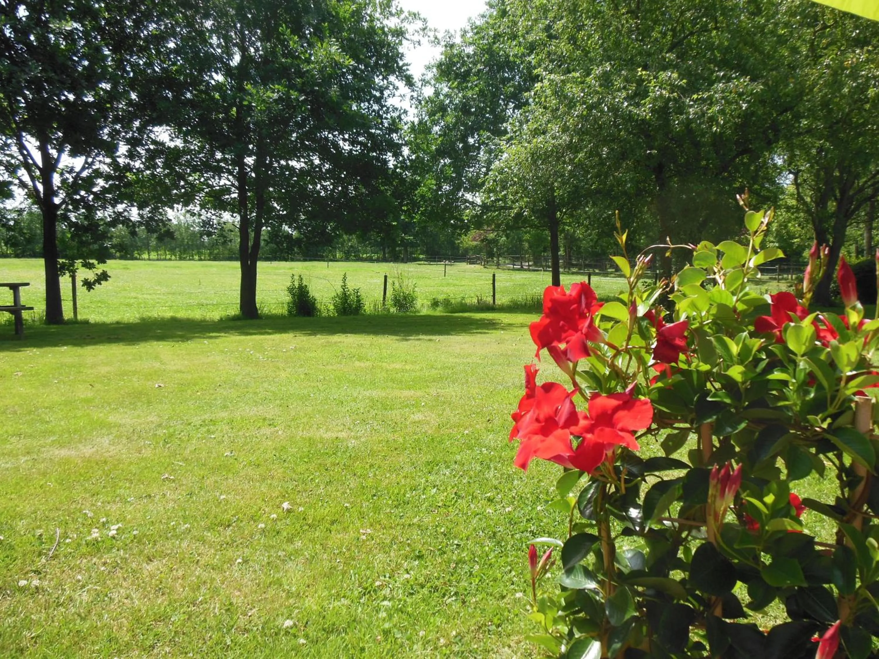 Garden view in B&B Landgoed Sonneborghe