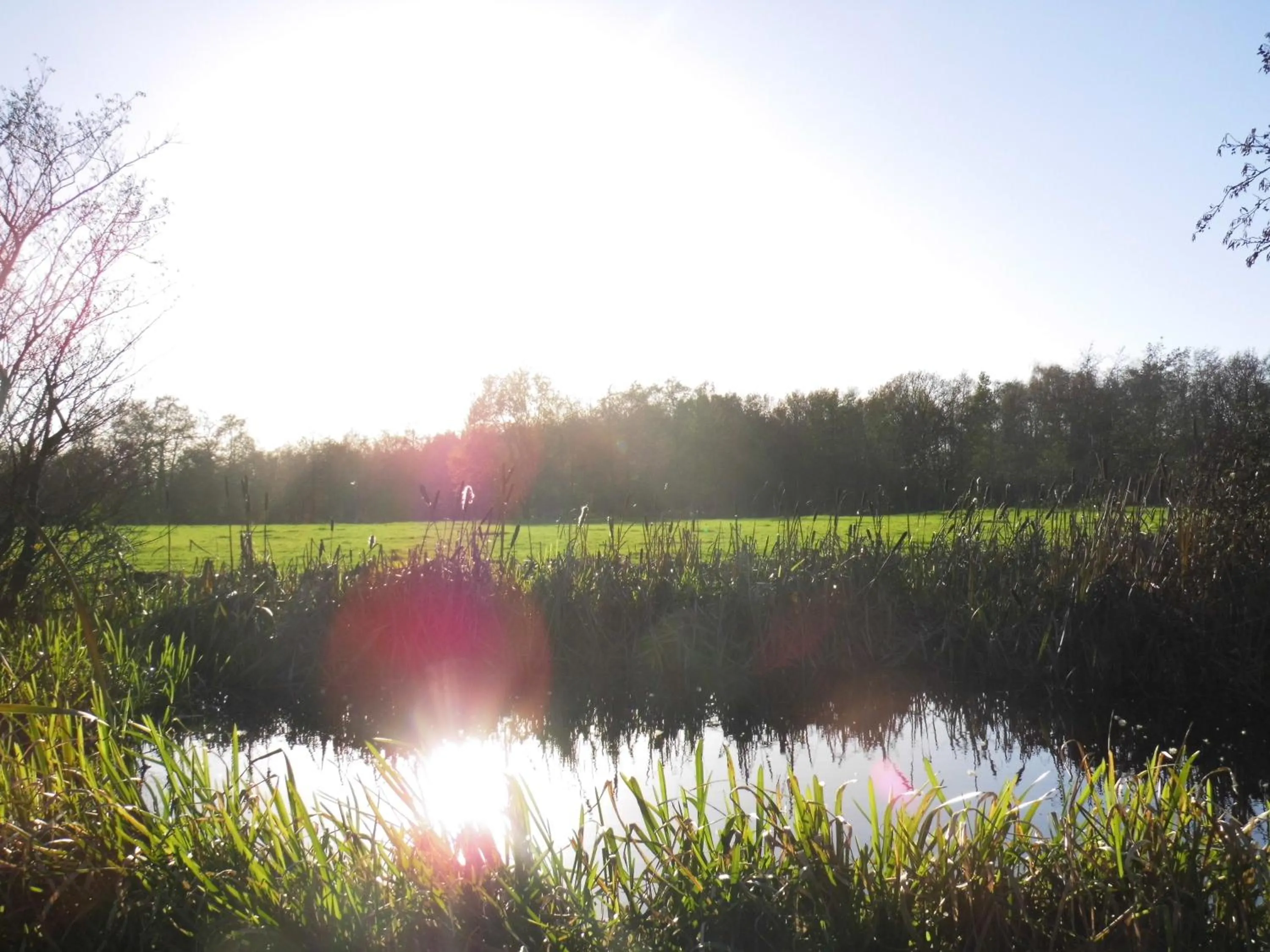 Natural landscape in B&B Landgoed Sonneborghe