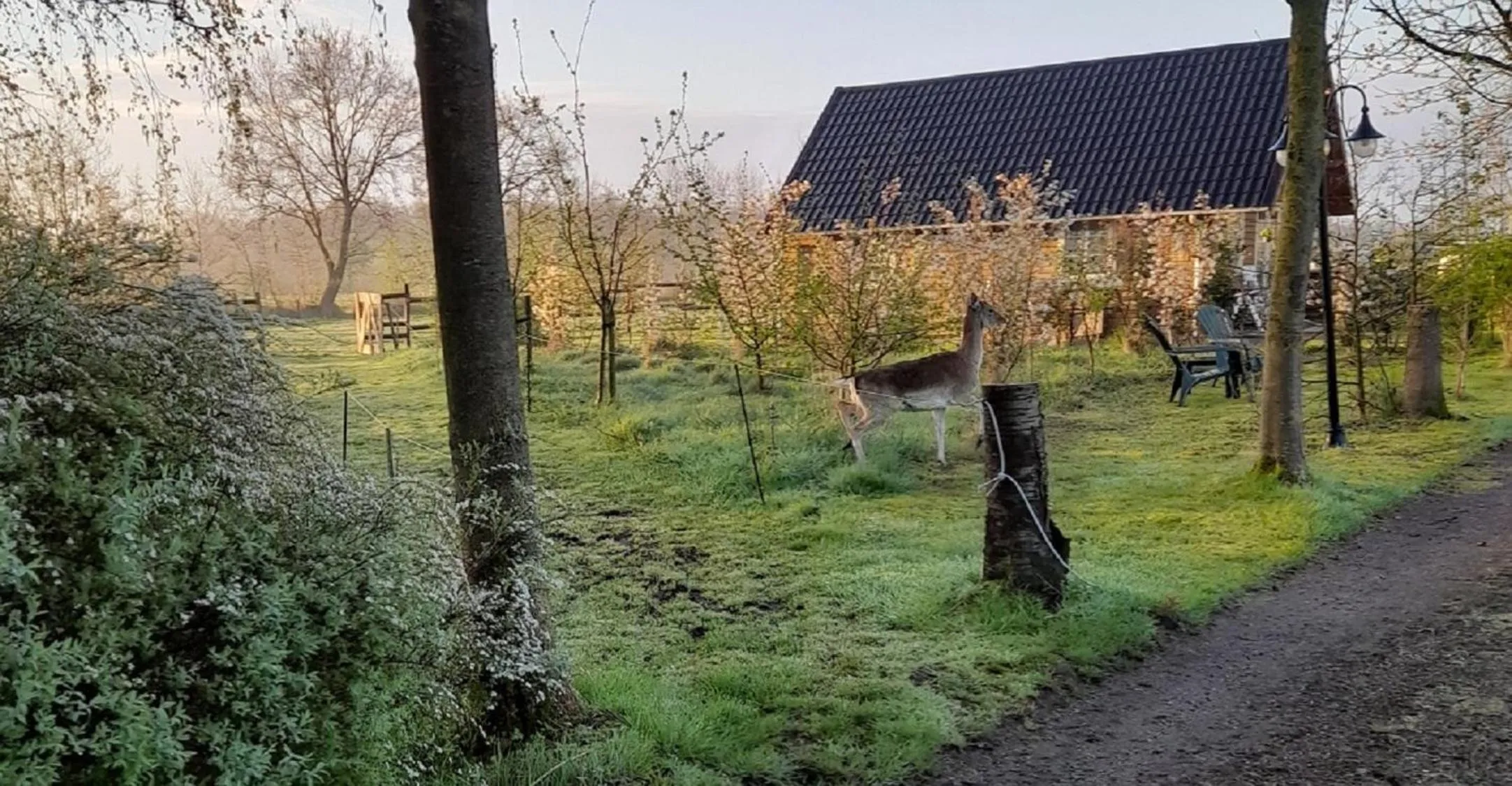View (from property/room) in B&B Landgoed Sonneborghe