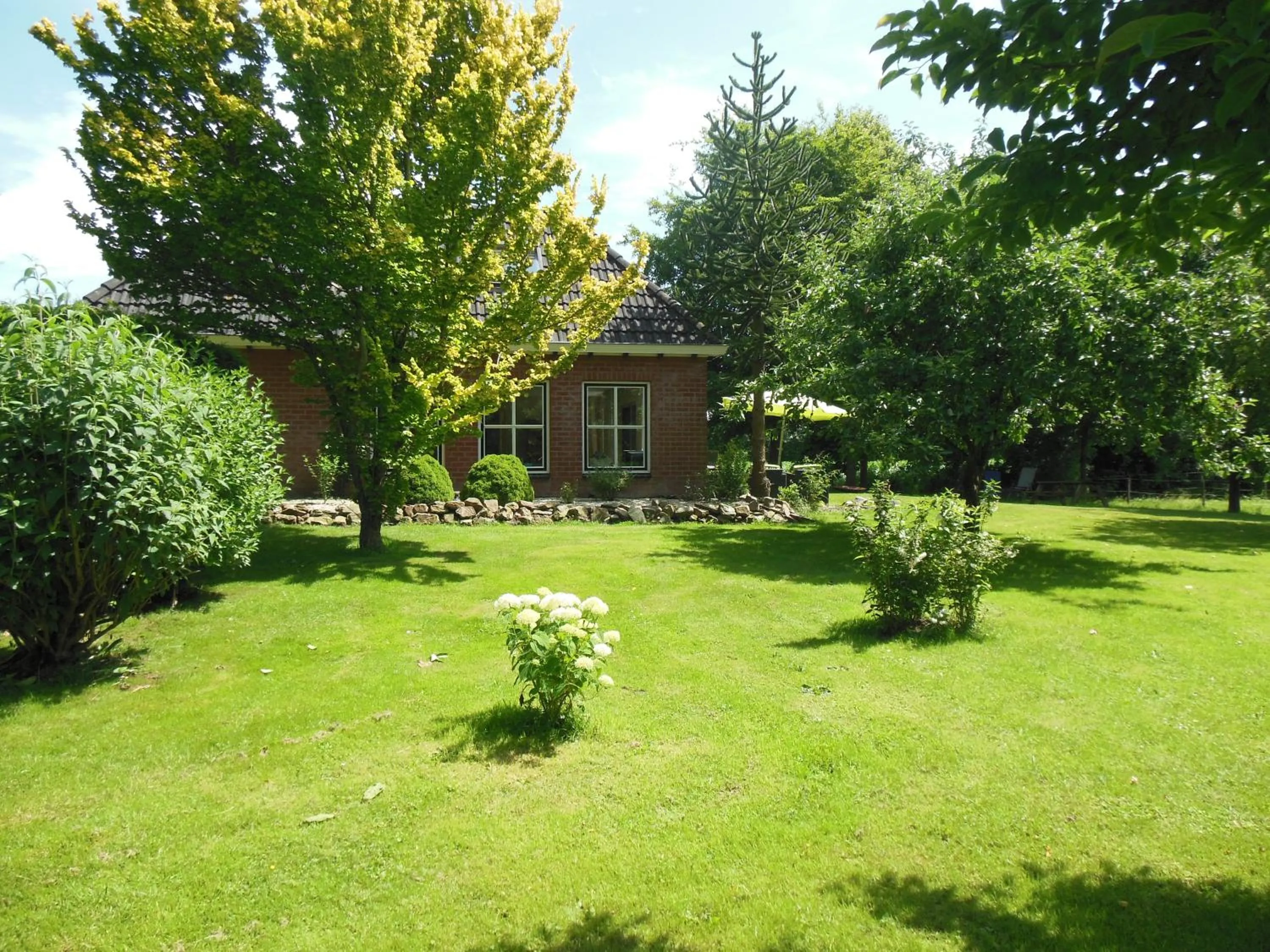 Garden view in B&B Landgoed Sonneborghe