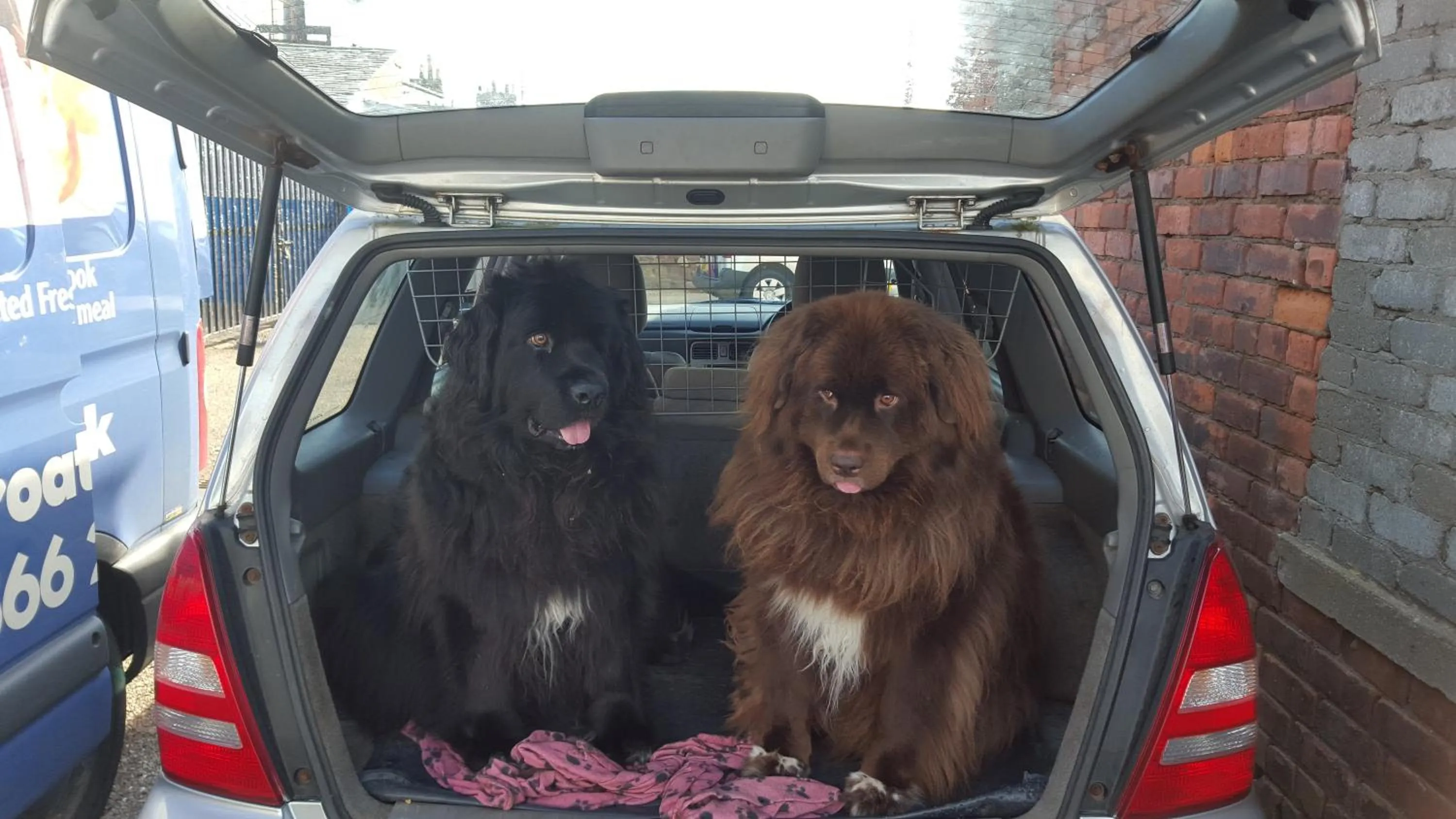 Pets in The Old Brewhouse