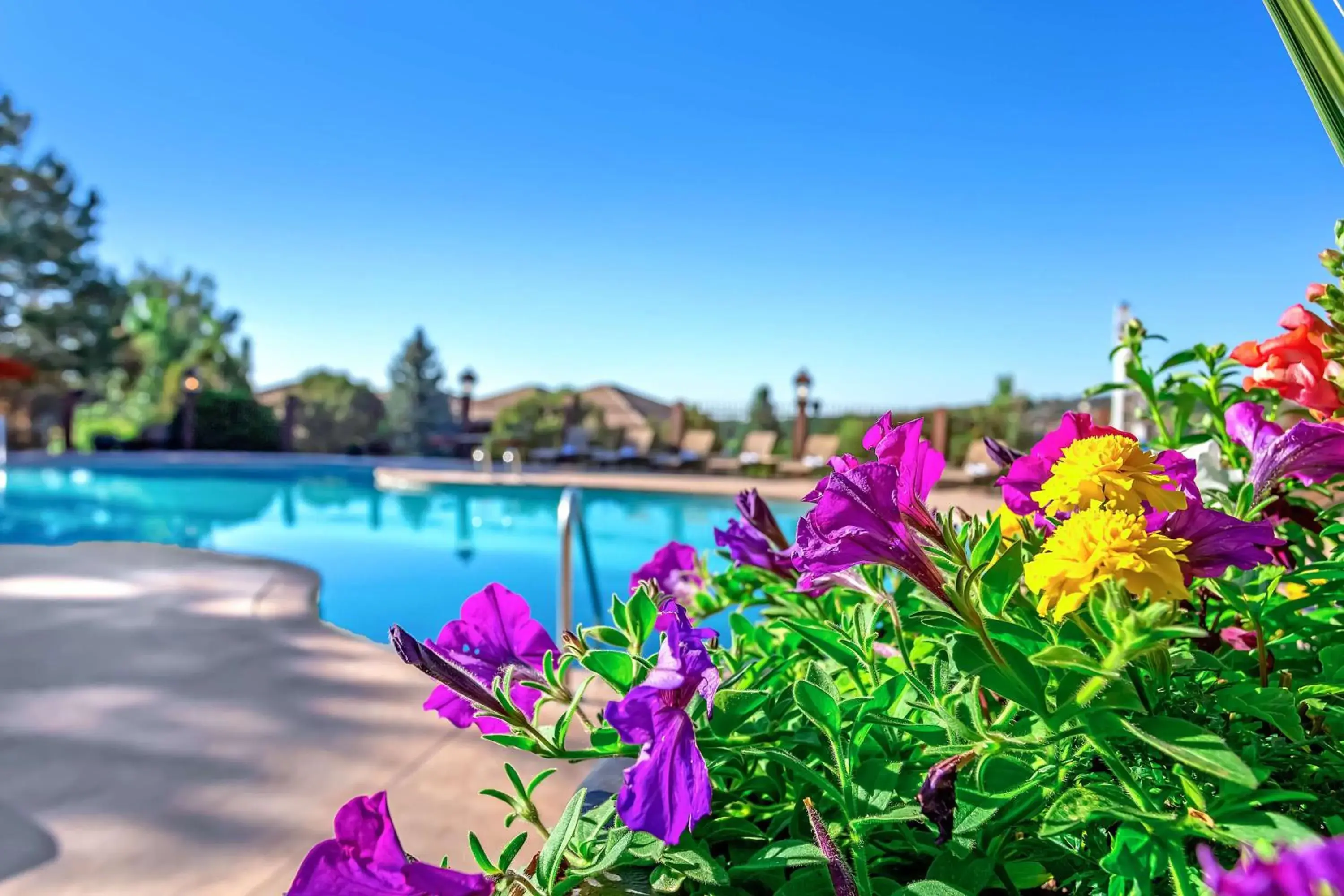Swimming pool in Cheyenne Mountain Resort, a Destination by Hyatt Hotels Swimming pool in Cheyenne Mountain Resort, a Destination by Hyatt Hotels