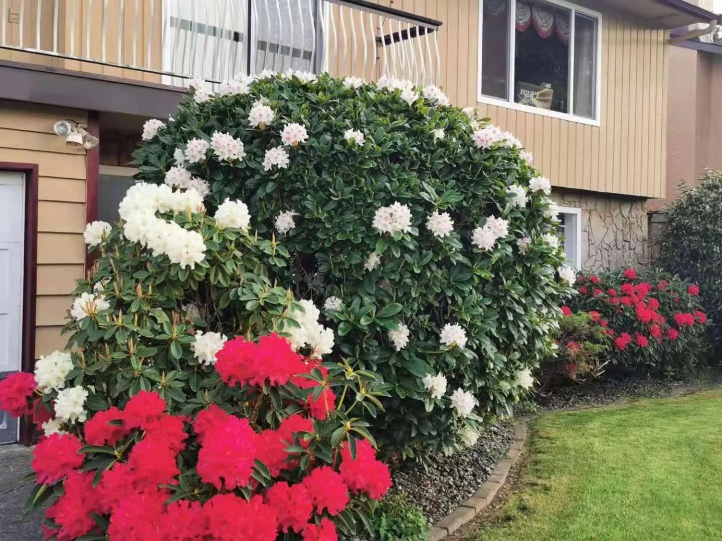 YVR Vickie’s Bed and Breakfast