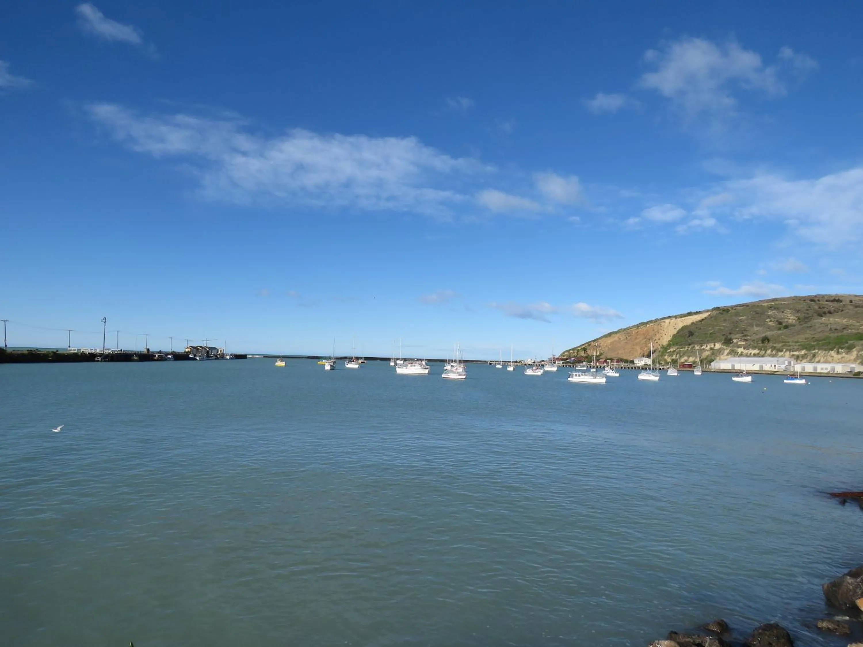 Natural landscape in Oamaru Harbour Nest