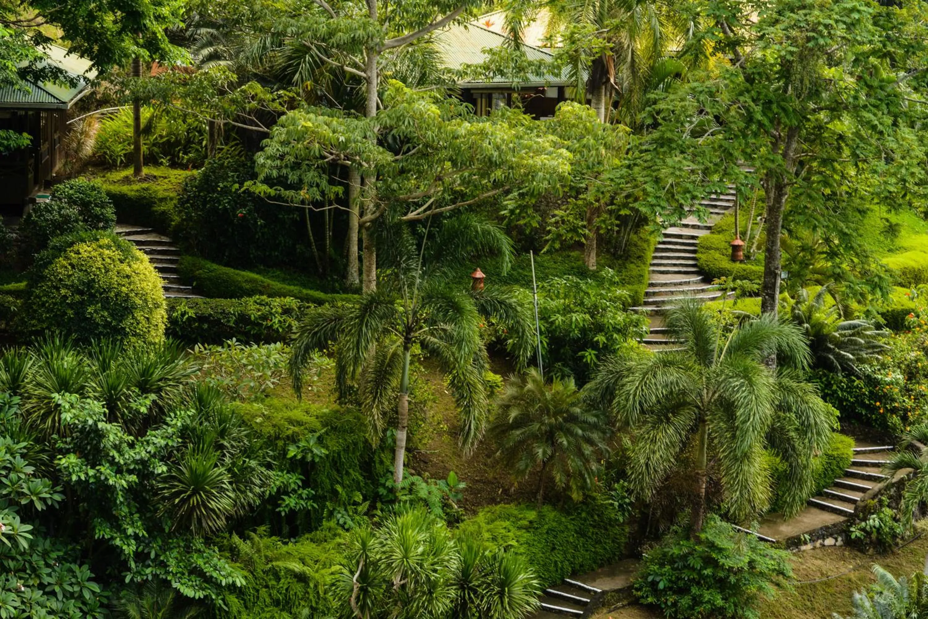 Garden in Lembeh Resort
