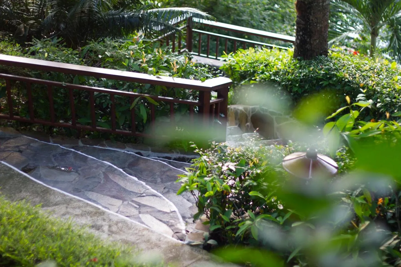 Garden in Lembeh Resort