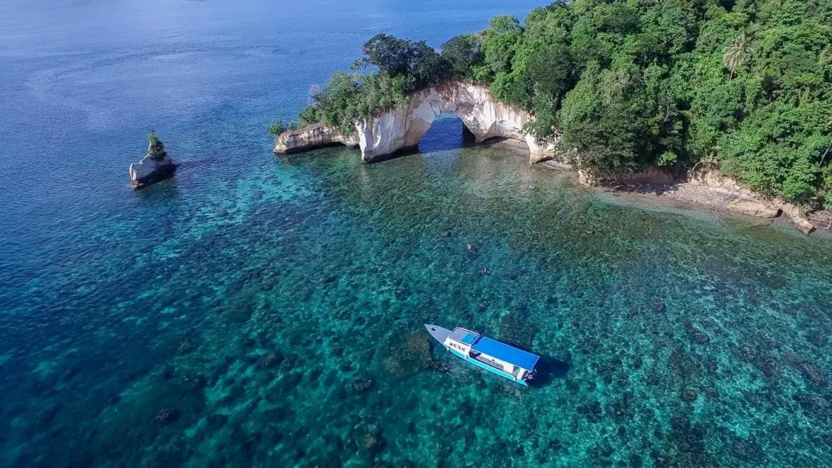 Activities in Lembeh Resort