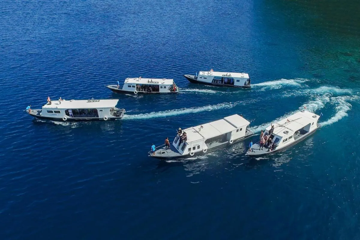 Activities in Lembeh Resort