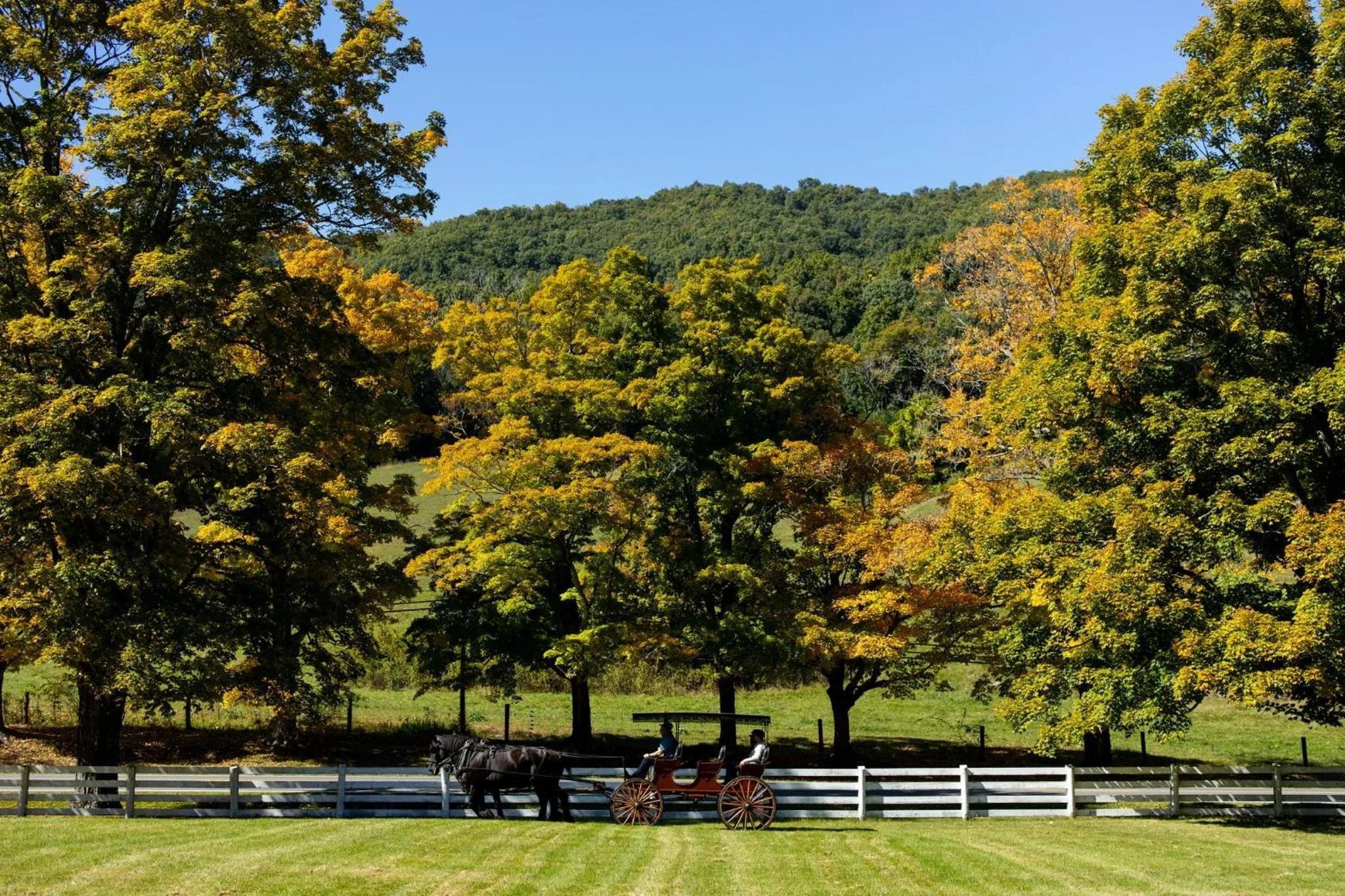 Property building in The Omni Homestead Resort & Spa