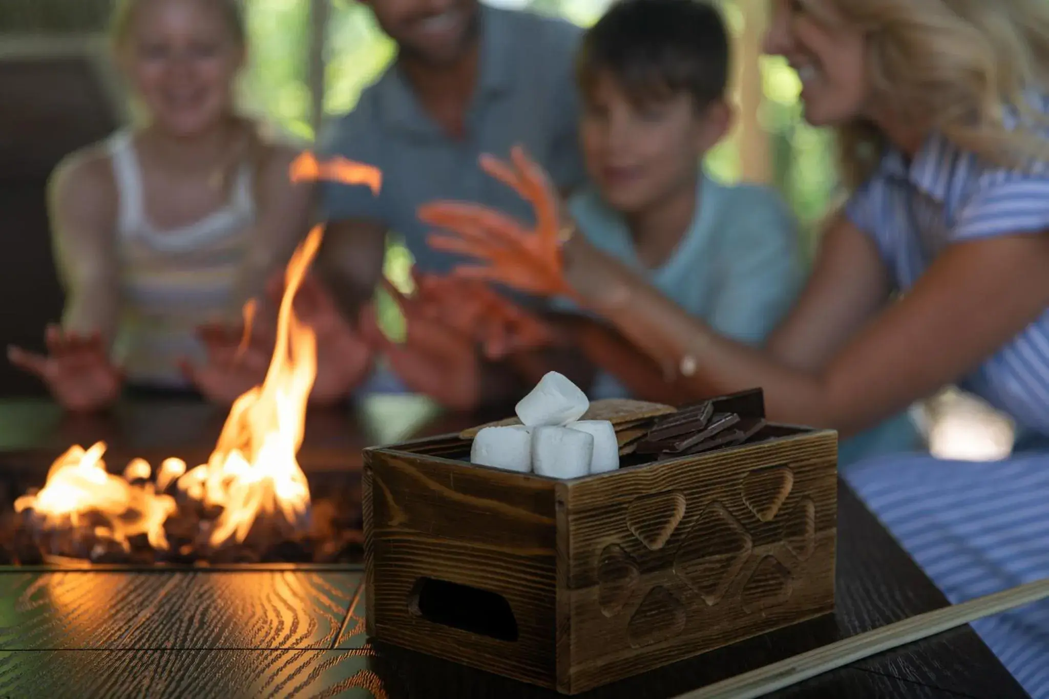 The Omni Homestead Resort & Spa The Omni Homestead Resort & Spa