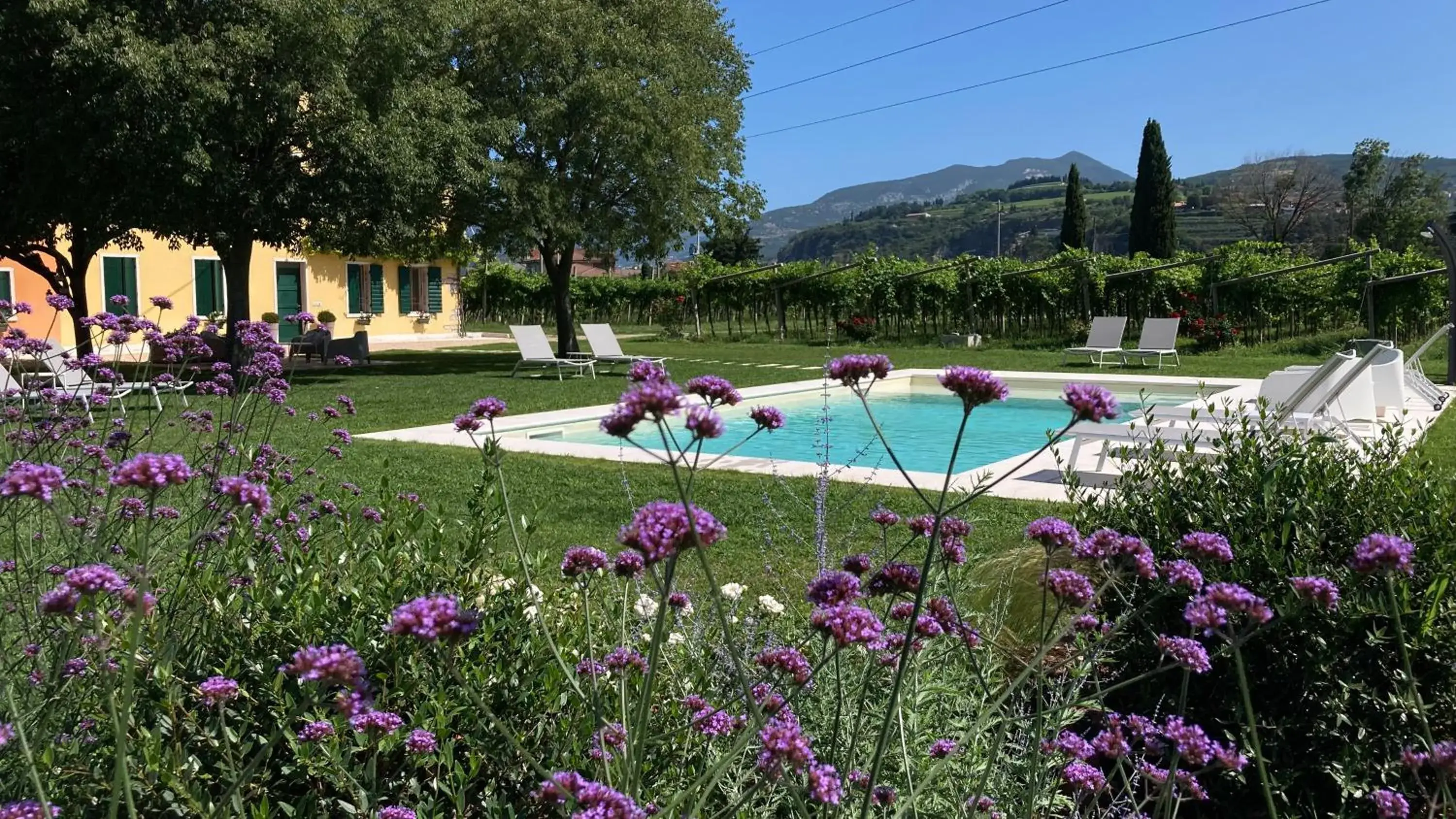B&B CAMPAGNON VALPOLICELLA B&B CAMPAGNON VALPOLICELLA