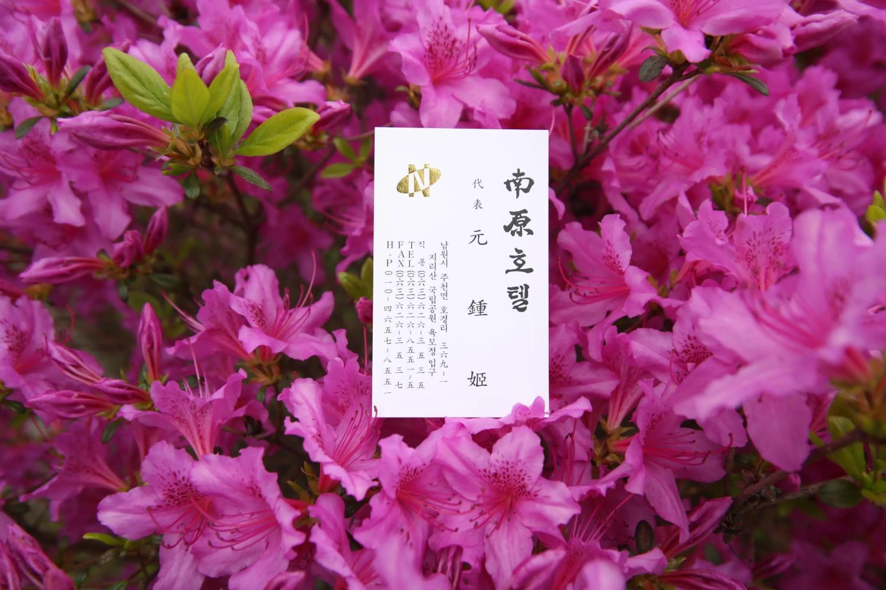 Namwon Hotel