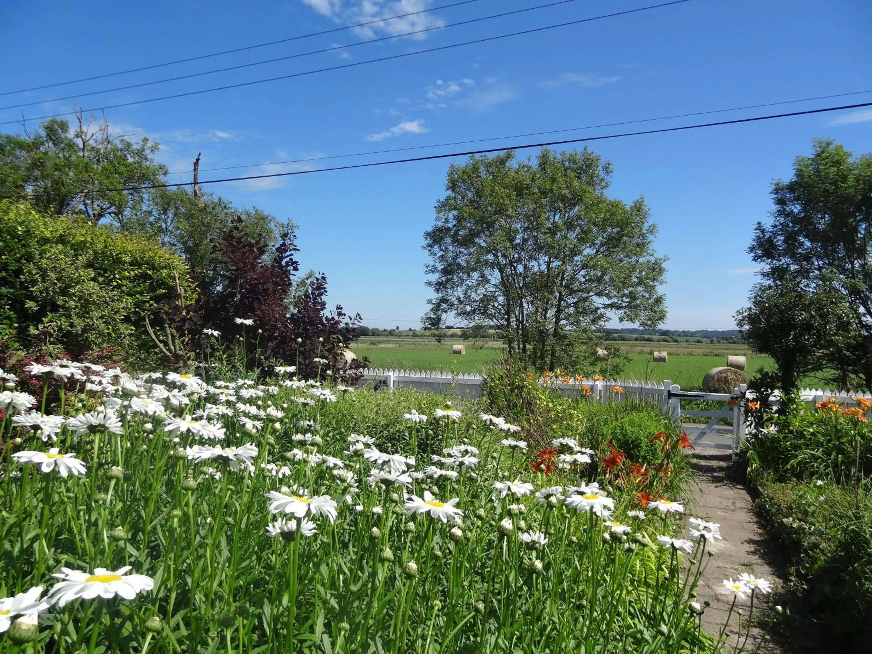 Garden view in Morland