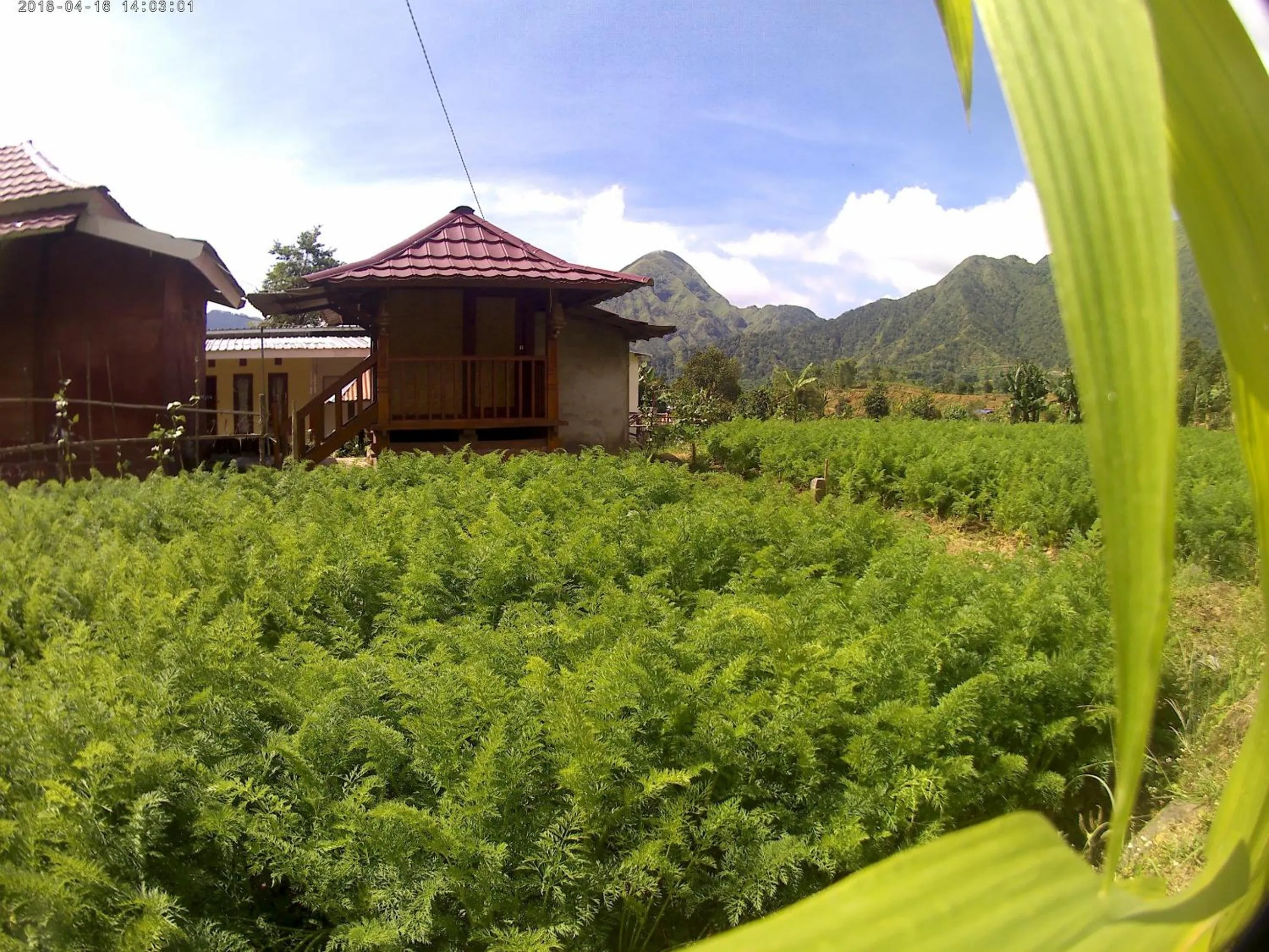 Bale Sembahulun Cottages & Tend