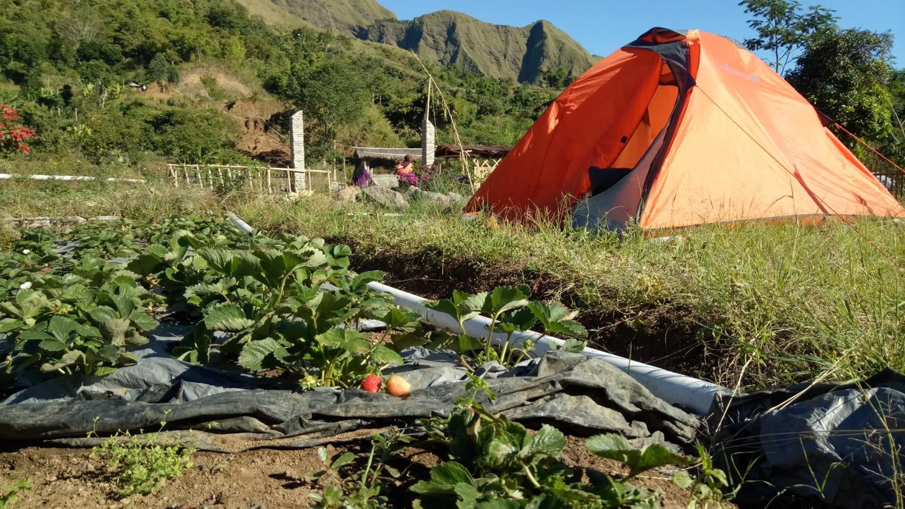 Bale Sembahulun Cottages & Tend