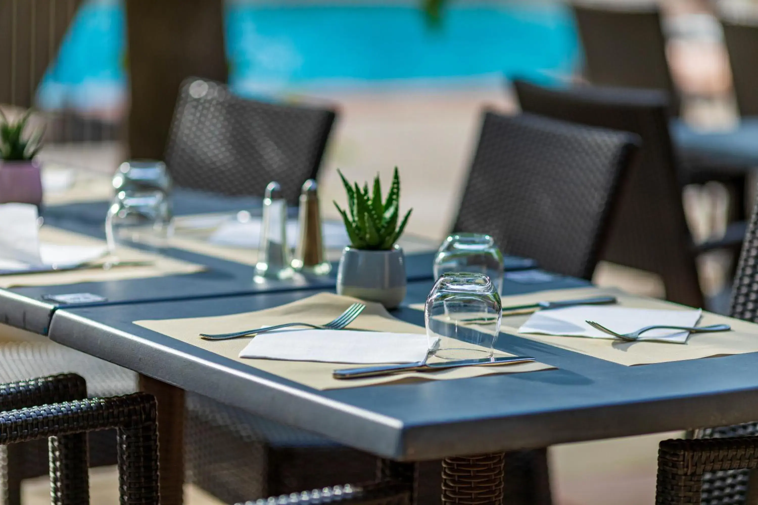 Restaurant/places to eat in Logis Hotel Noemys pont de l'Etoile Restaurant/places to eat in Logis Hotel Noemys pont de l'Etoile