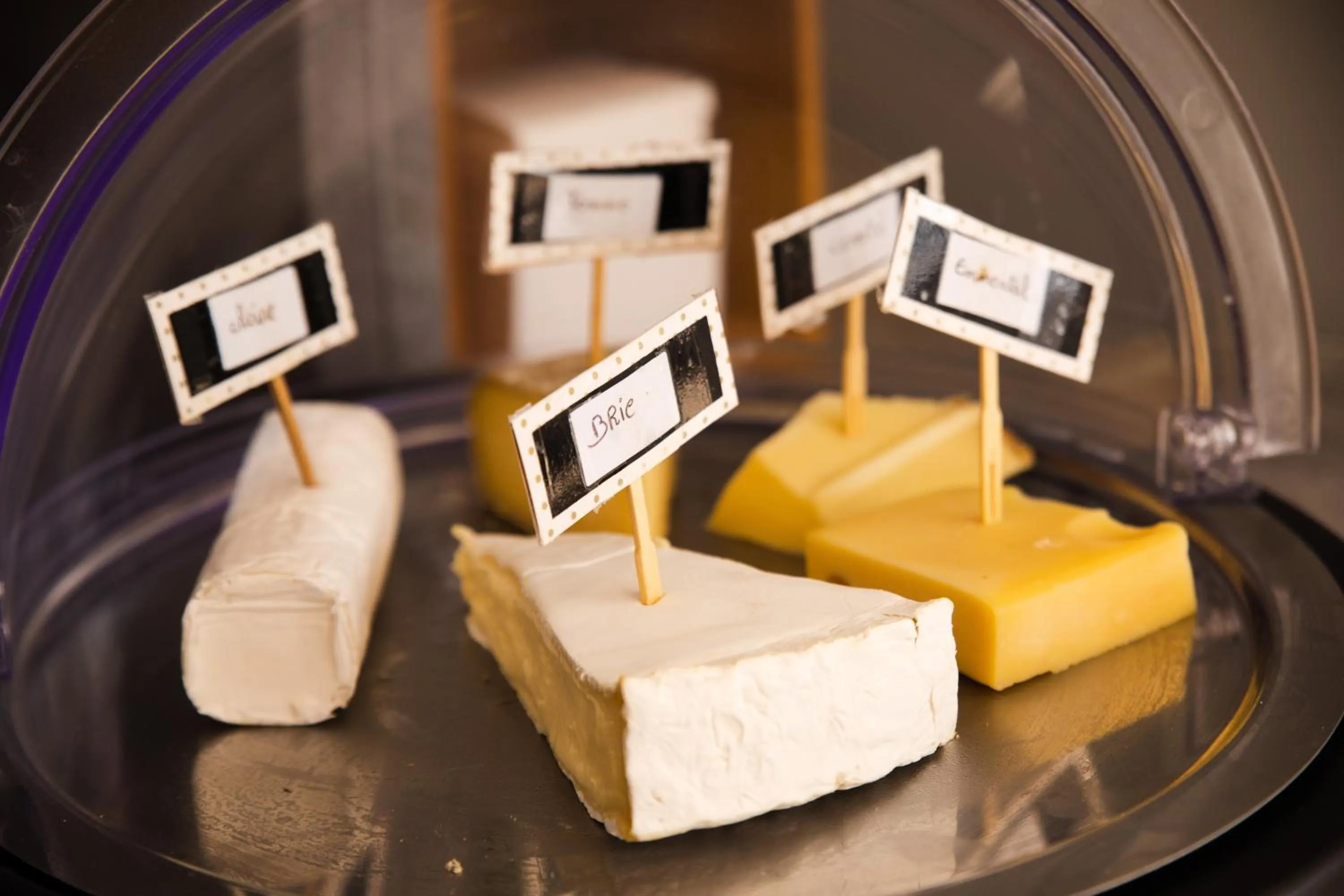 Food and drinks in CERISE Lannion