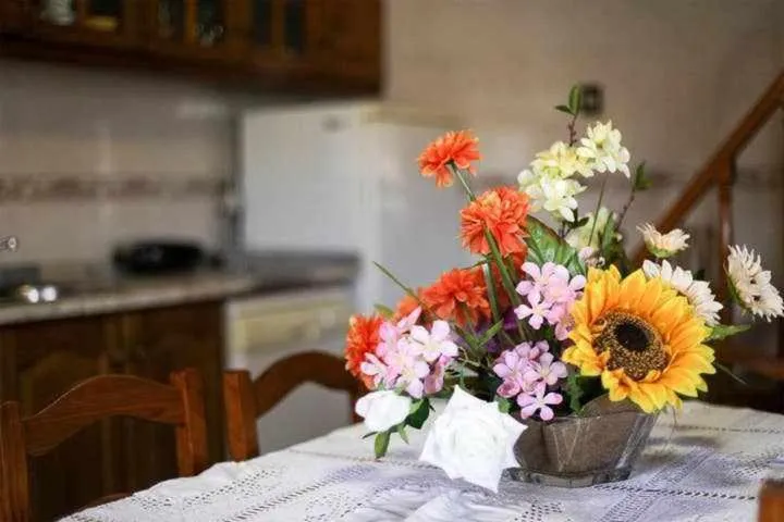 Casa Rural do Salgueirinho