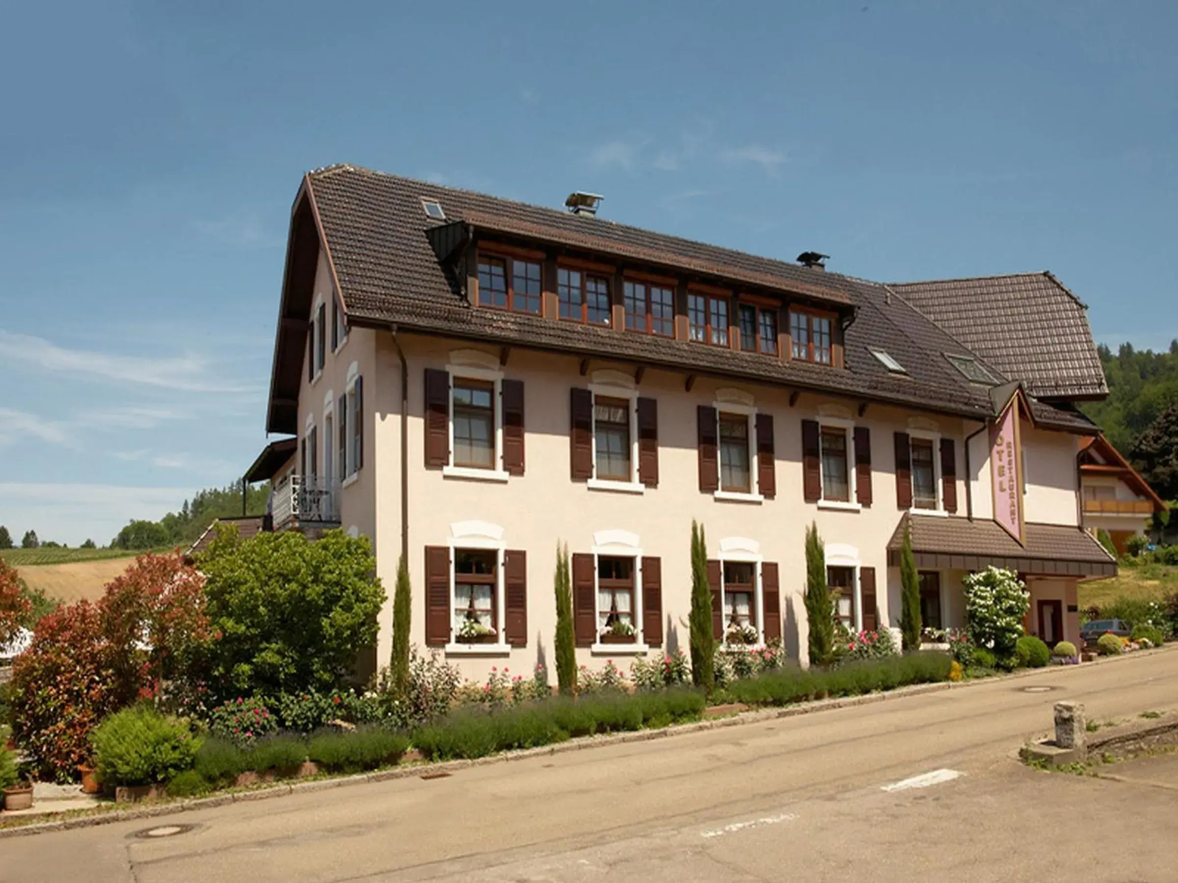 Rebstock Kappelwindeck Rebstock Kappelwindeck