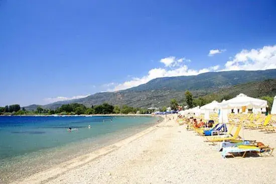Near Paradise Near Paradise