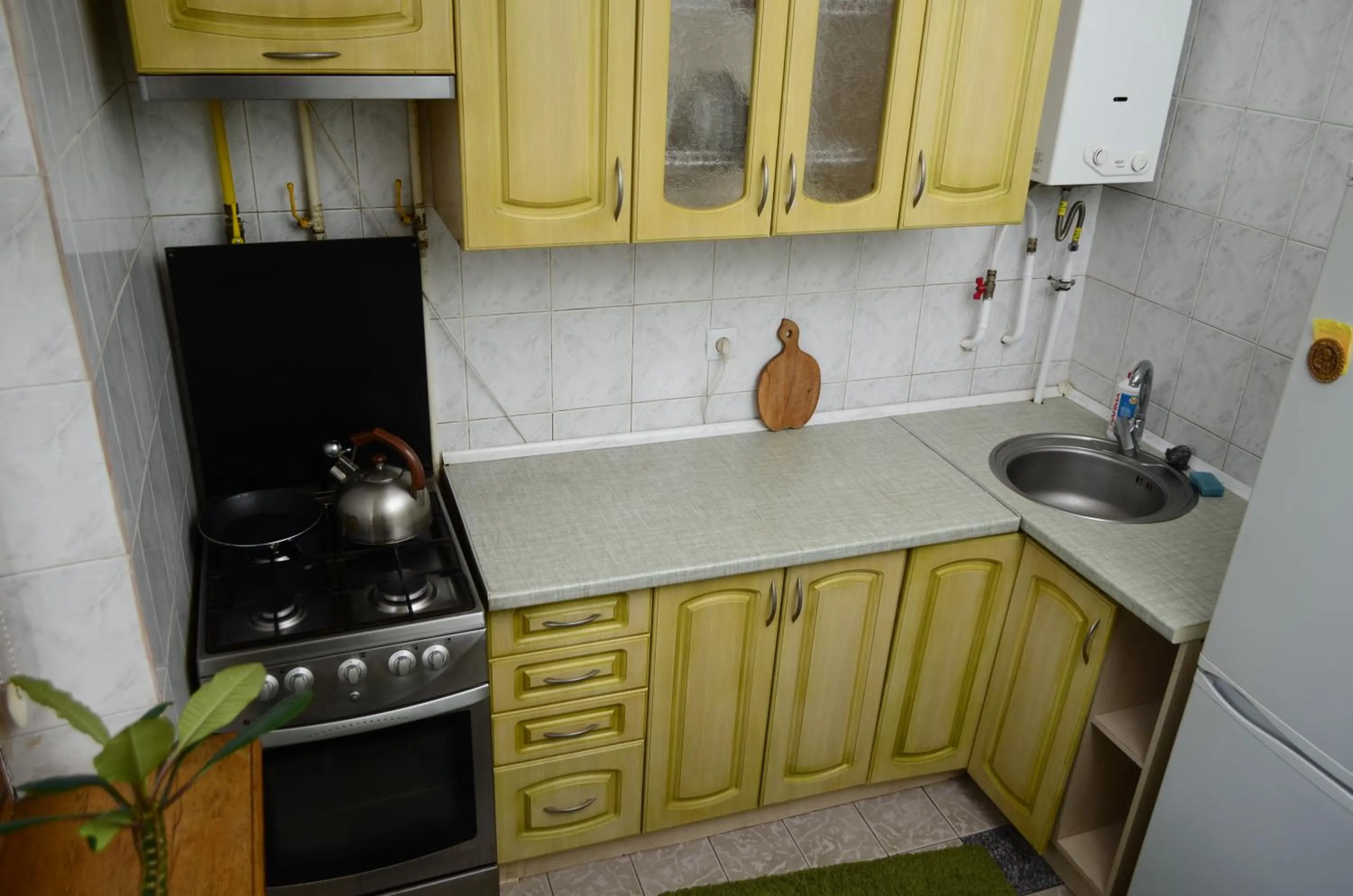 Apartment on Petropavlivs'ka 90