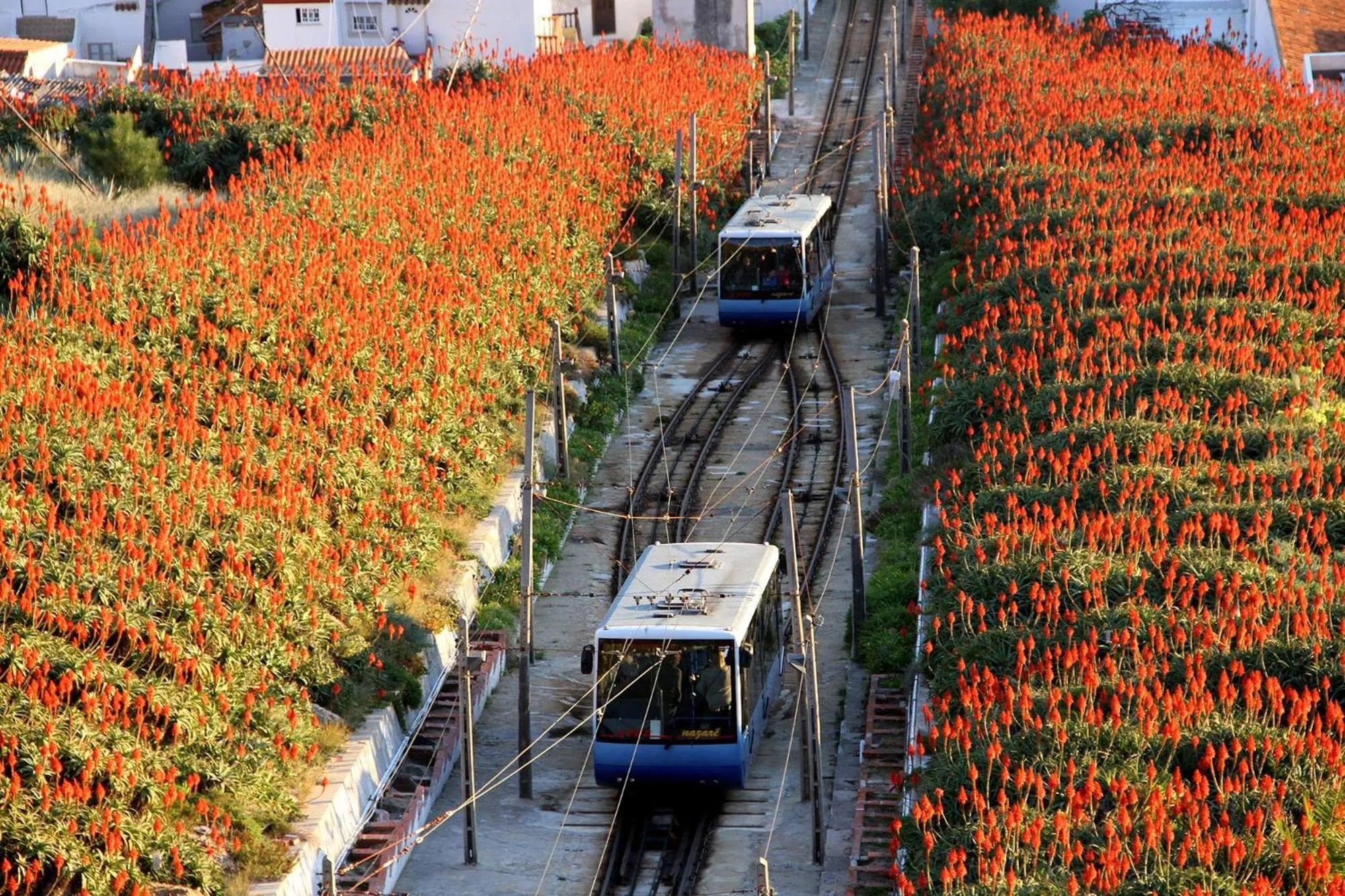 Landmark view in Villamar Style Maison