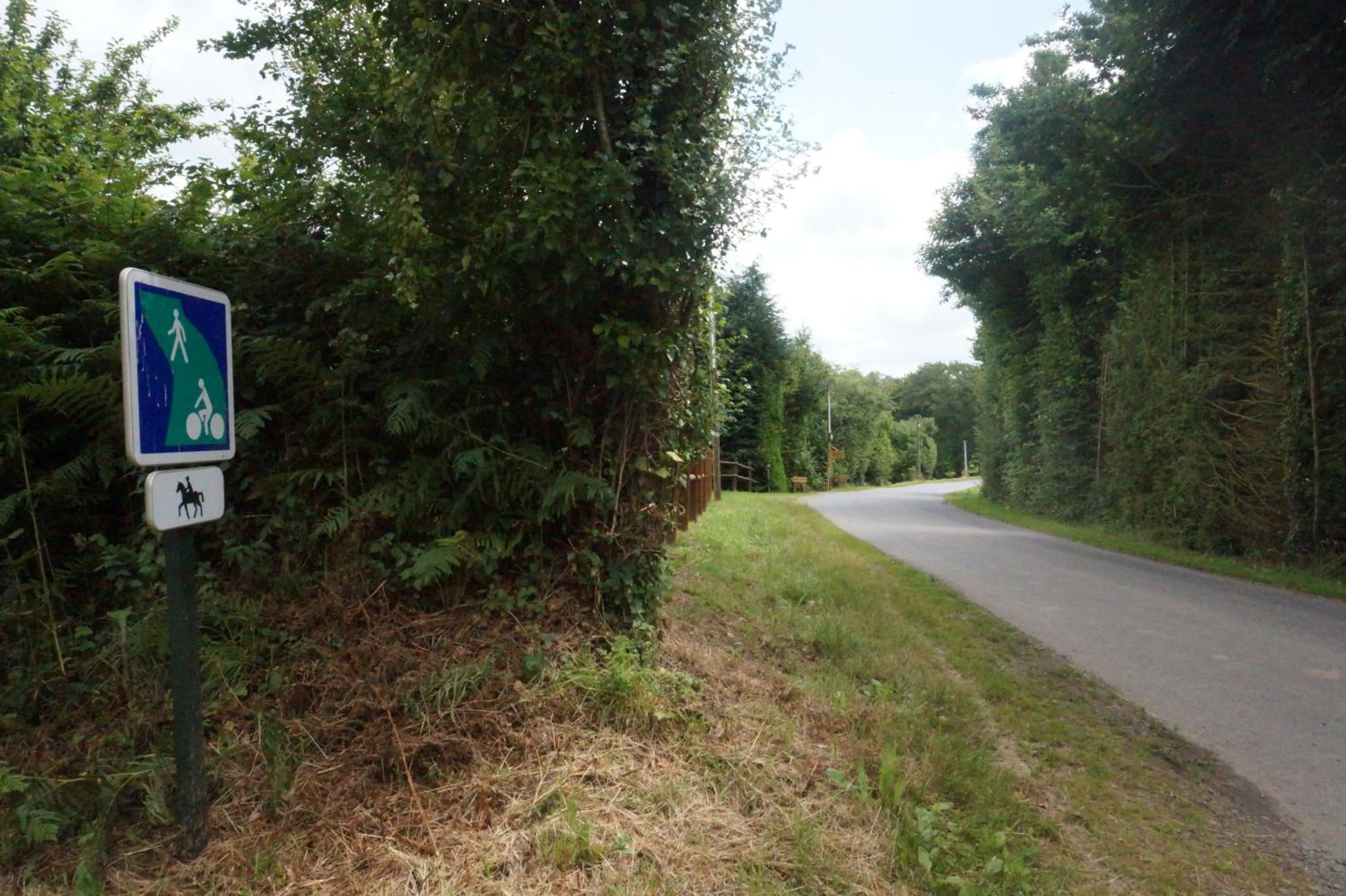 Horse-riding in Maison du Murphy