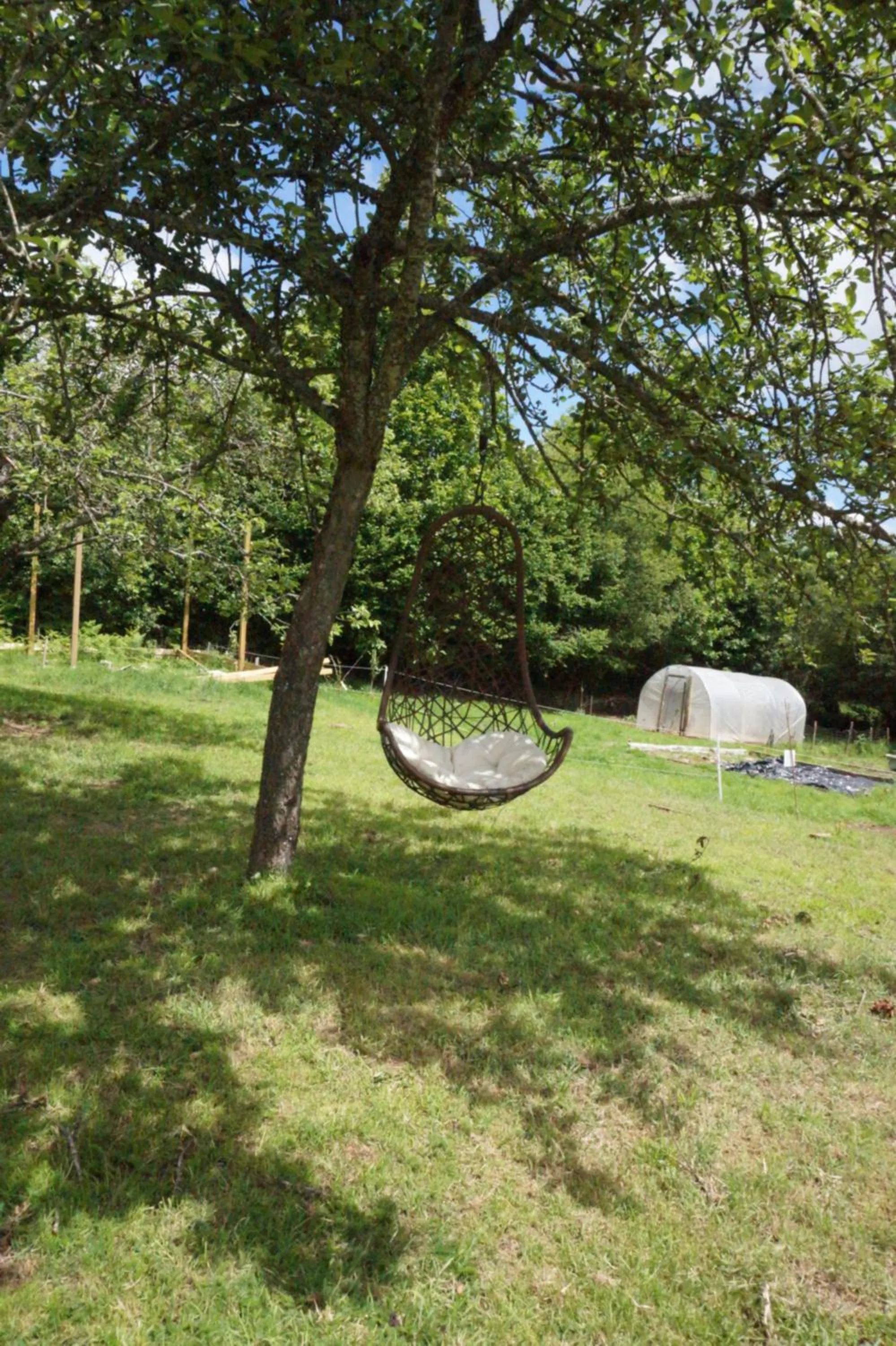 Garden view in Maison du Murphy