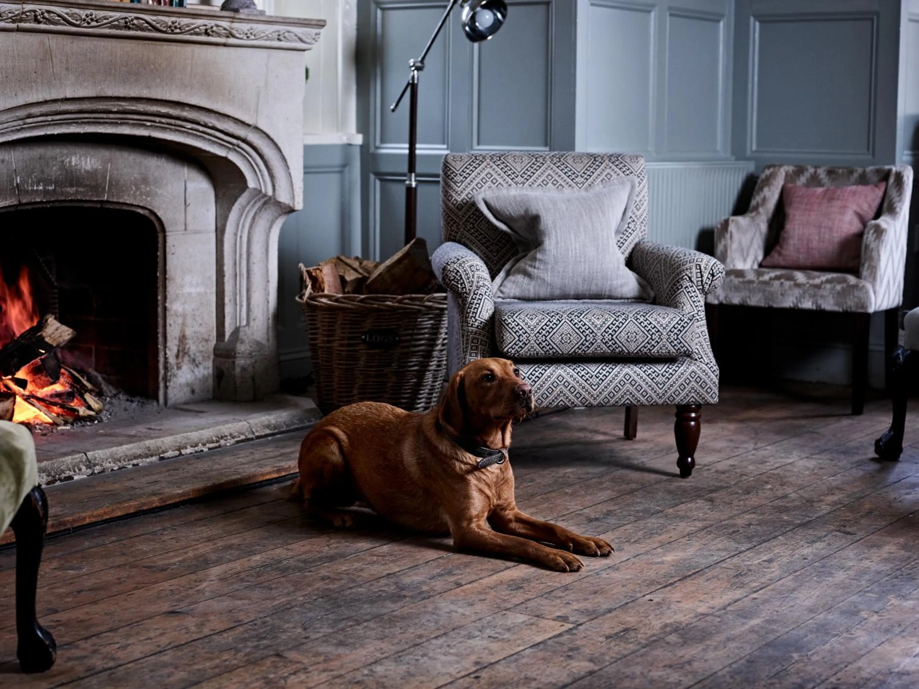 Restaurant/places to eat in The Montagu Arms