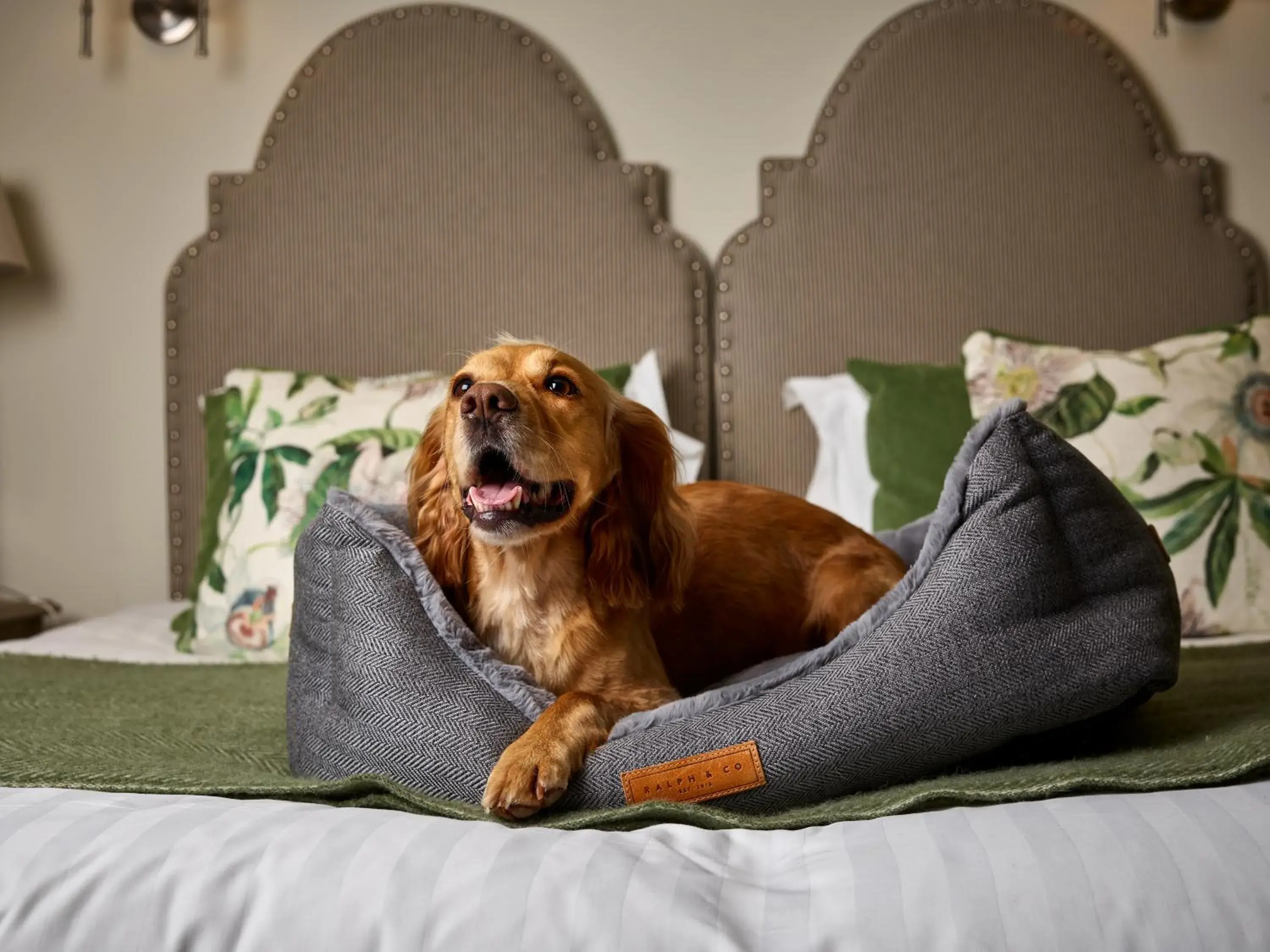 Property building in The Montagu Arms Property building in The Montagu Arms