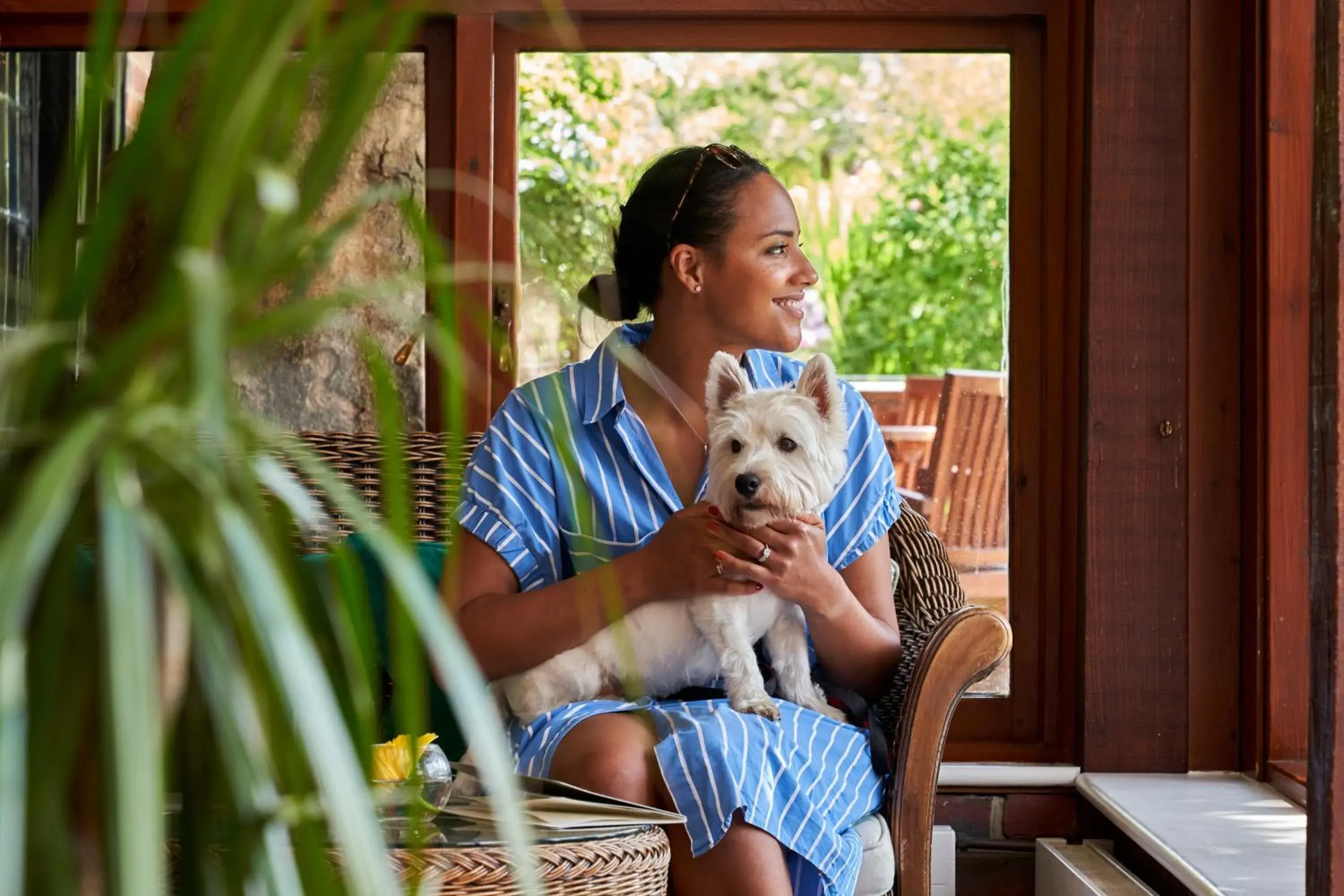 Property building in The Montagu Arms Property building in The Montagu Arms