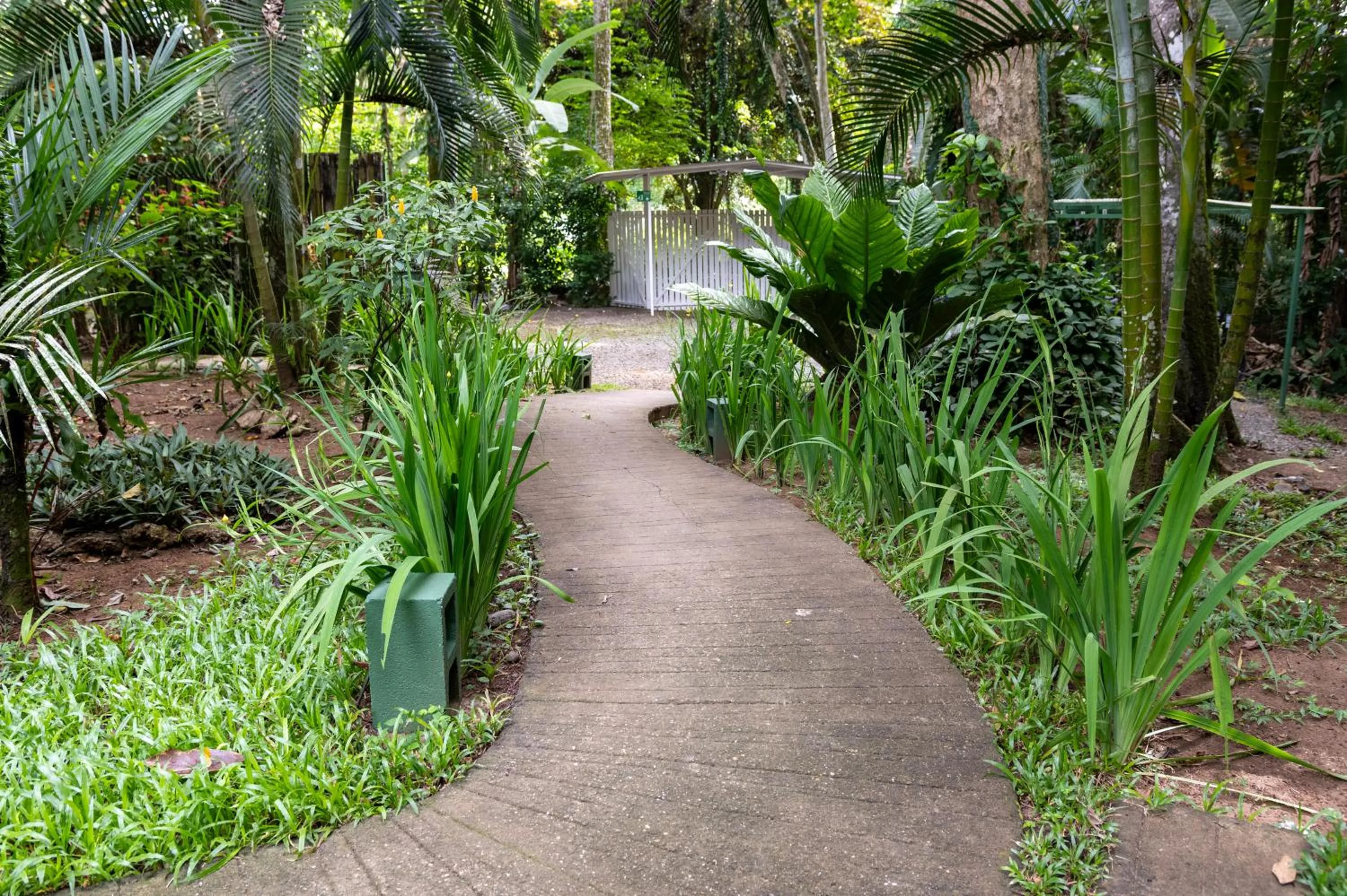 Garden in Jaguar Inn Bungalows