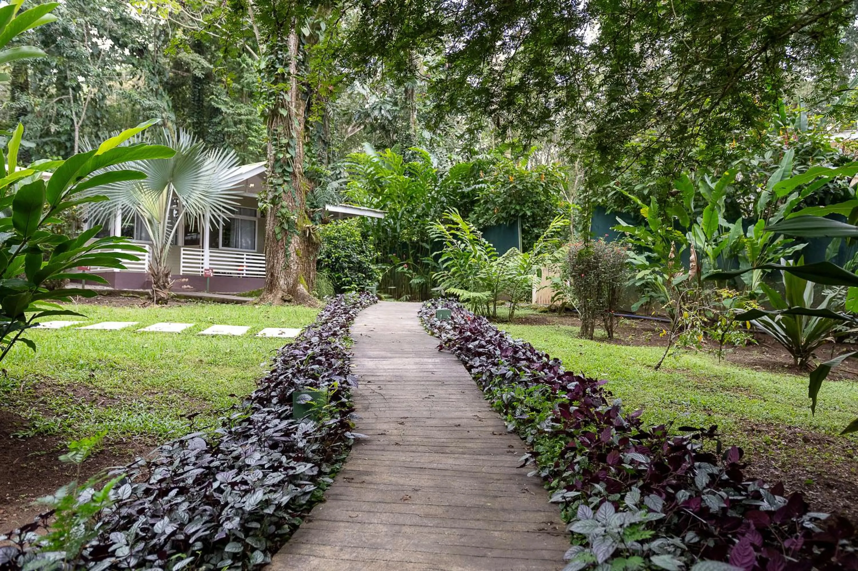 Garden view in Jaguar Inn Bungalows