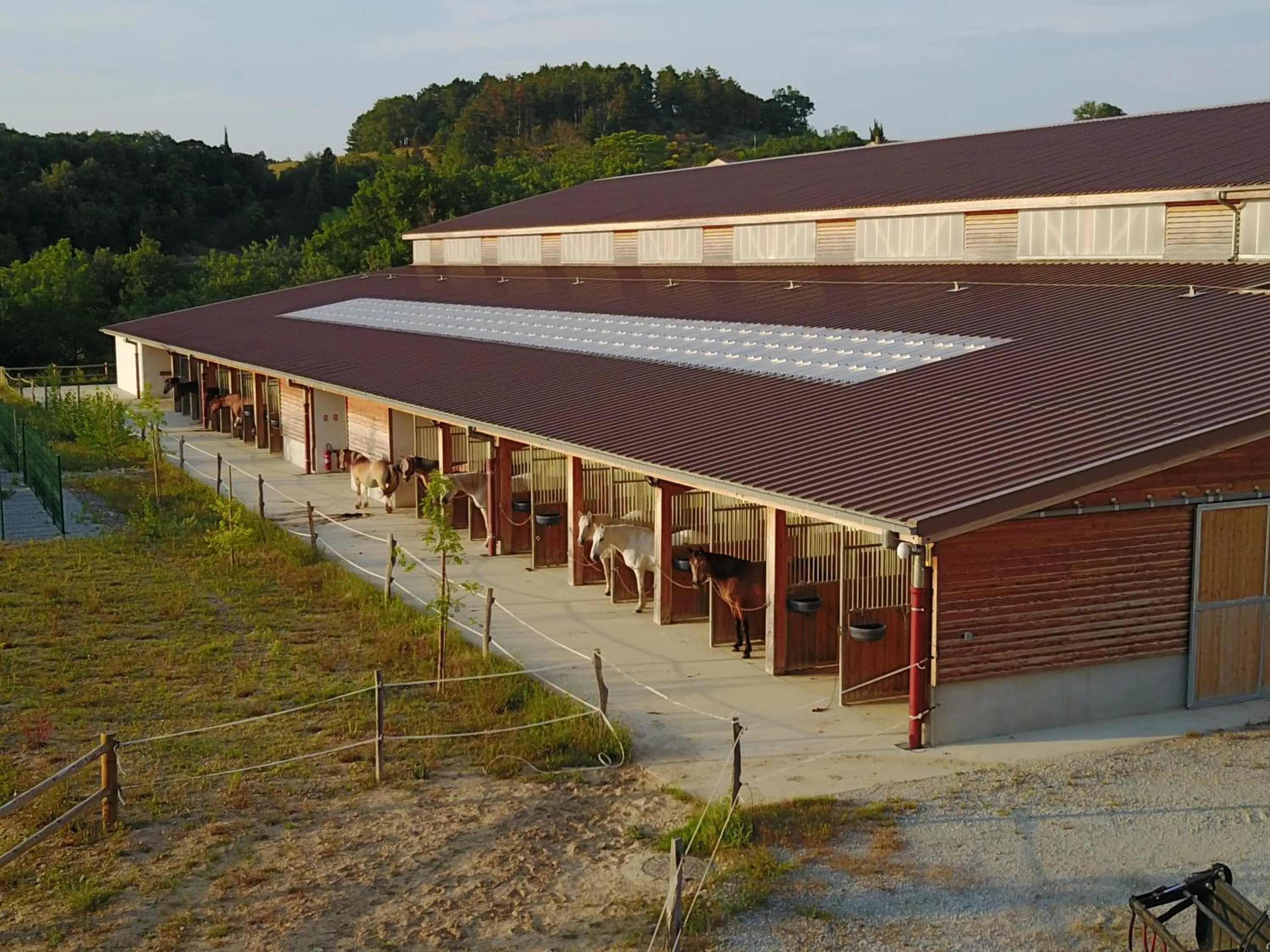Horse-riding in Domaine De Fraisse